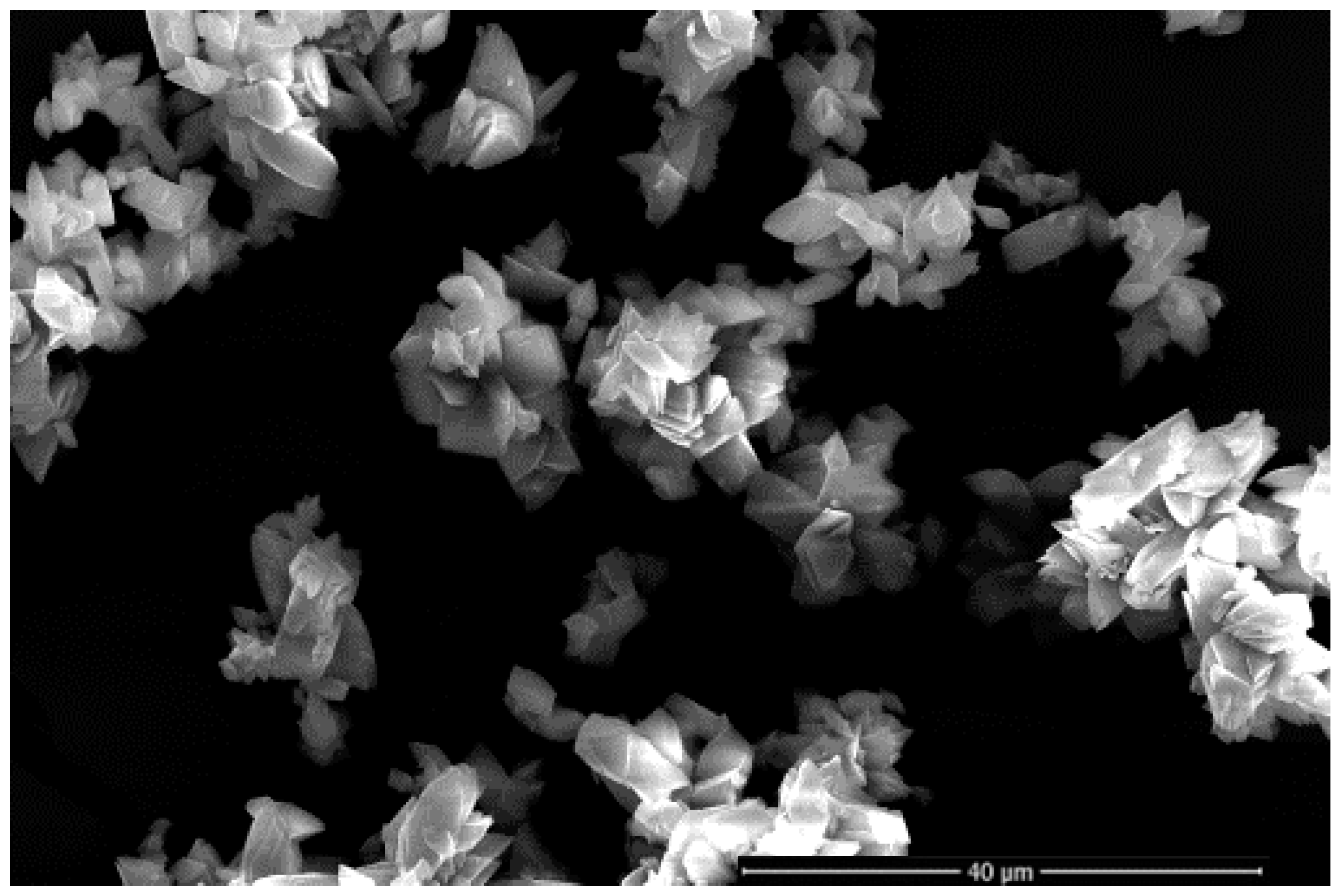 Metals 13 01884 g017