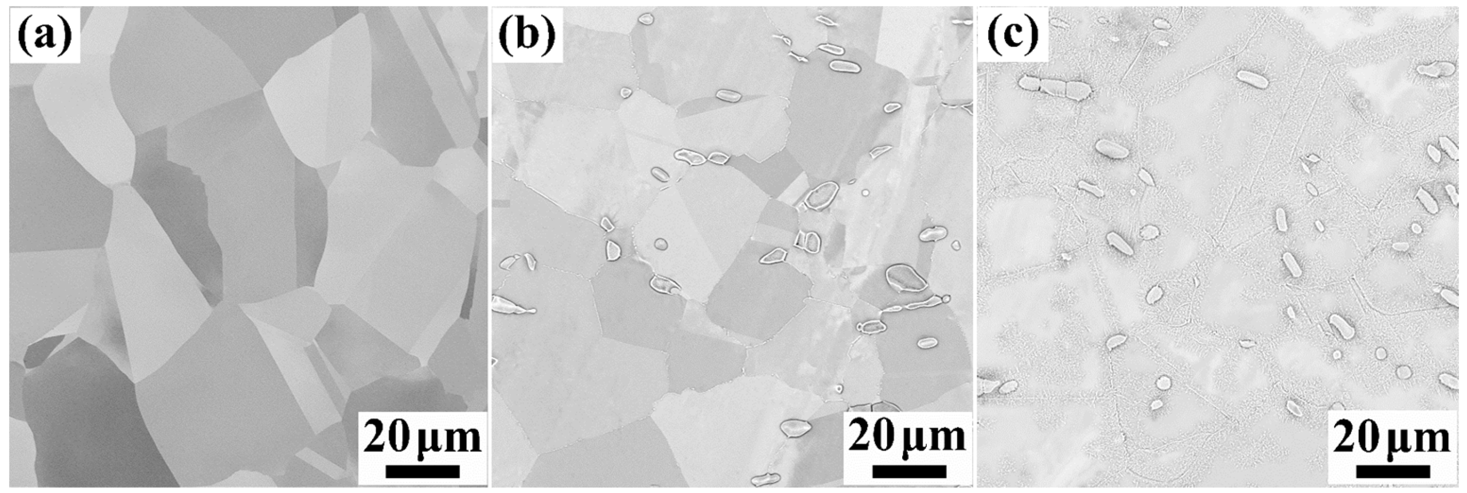 Metals 13 01885 g001