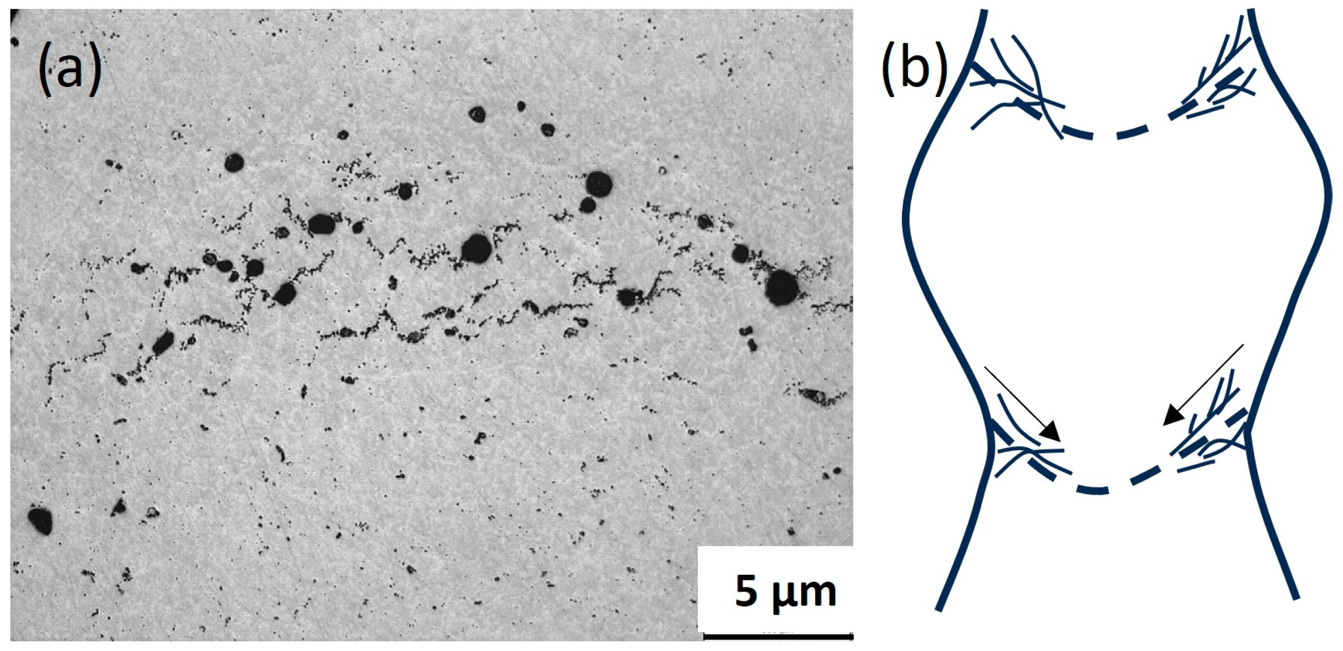 Metals 13 01890 g011