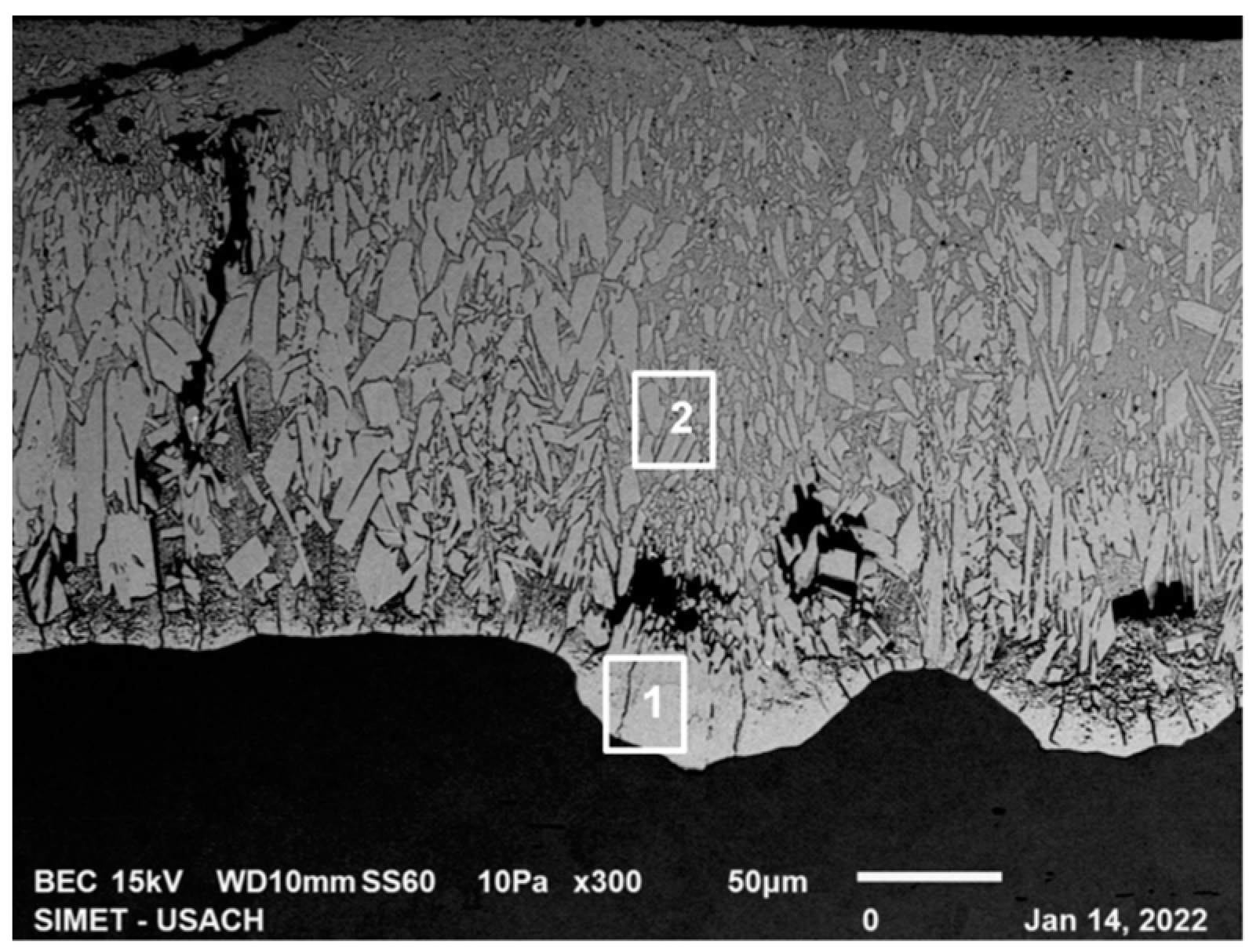 Metals 13 01892 g007