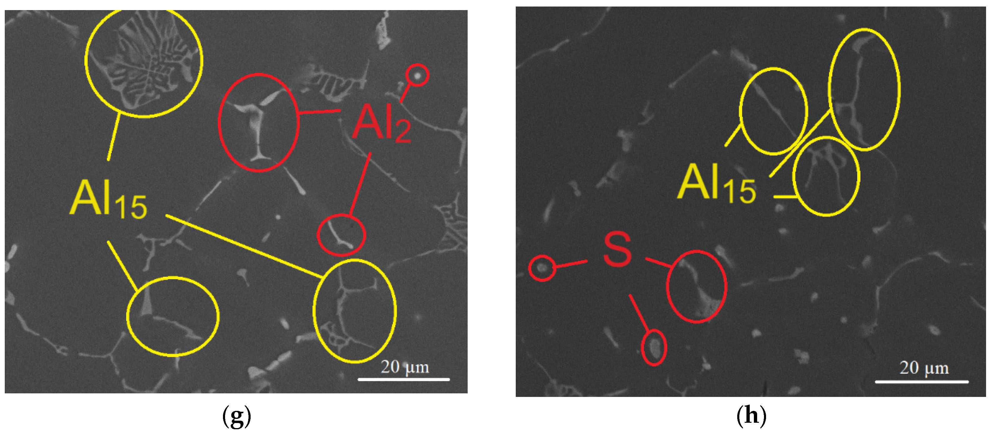 Metals 13 01911 g002b