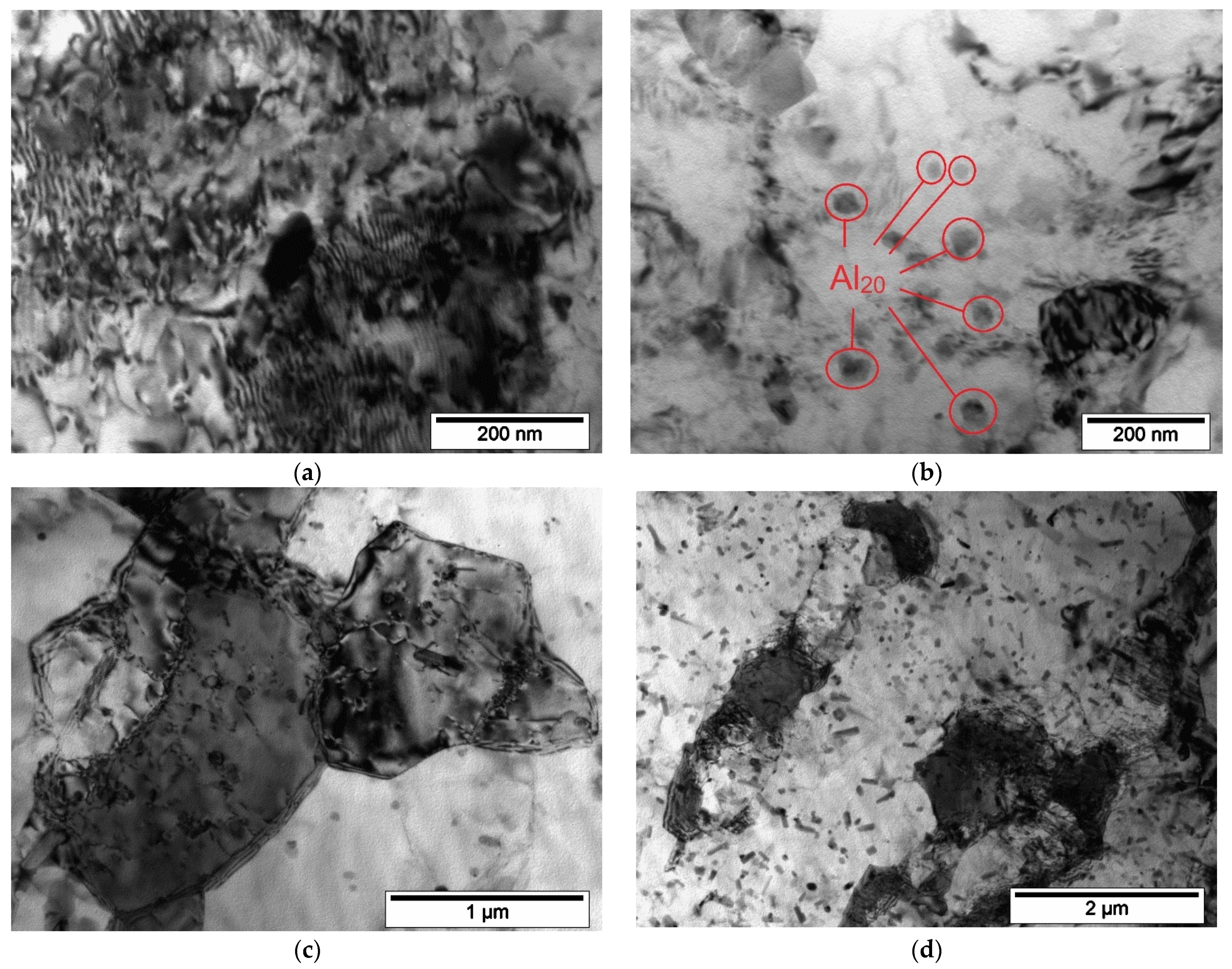 Metals 13 01911 g005