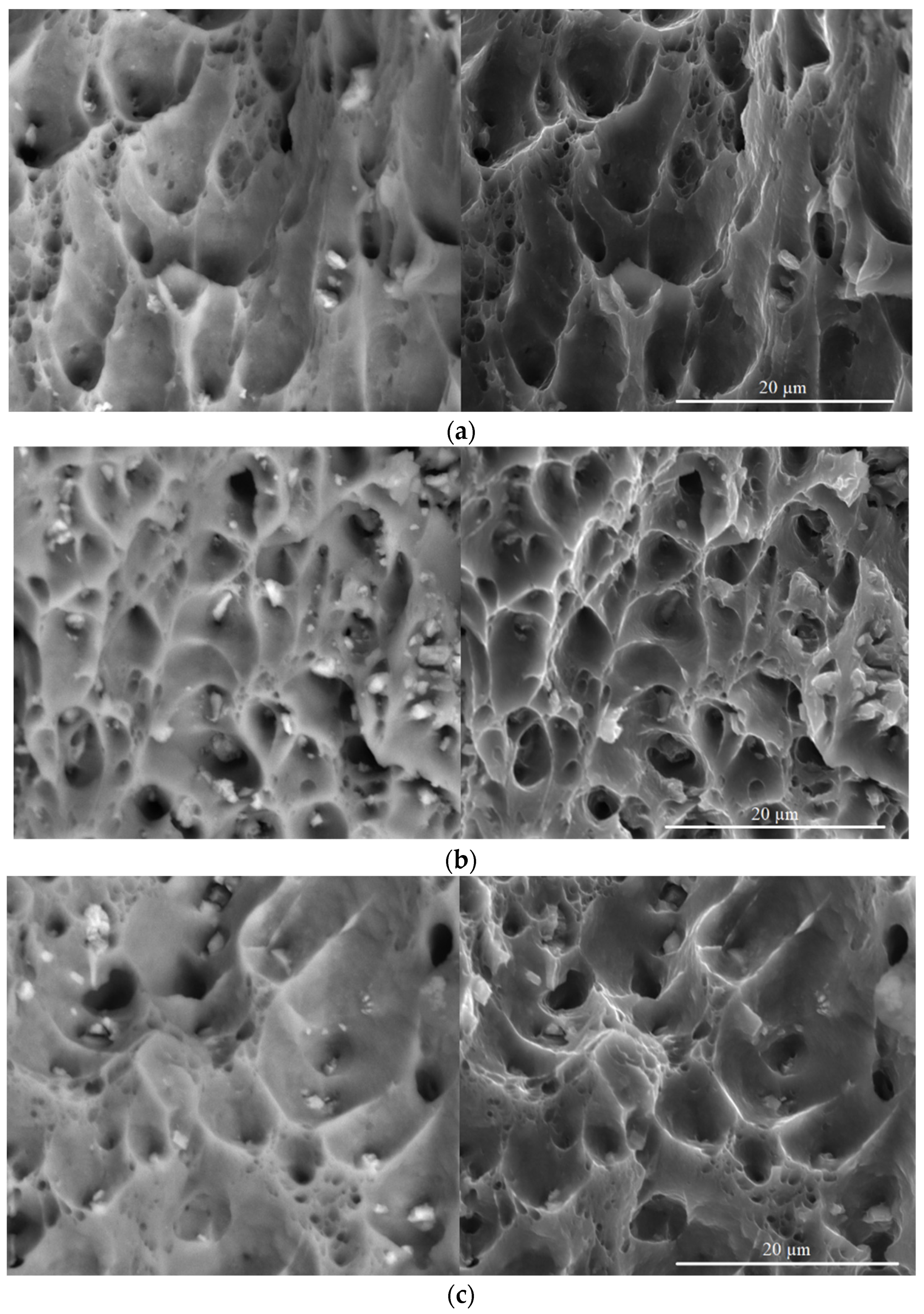 Metals 13 01911 g006a