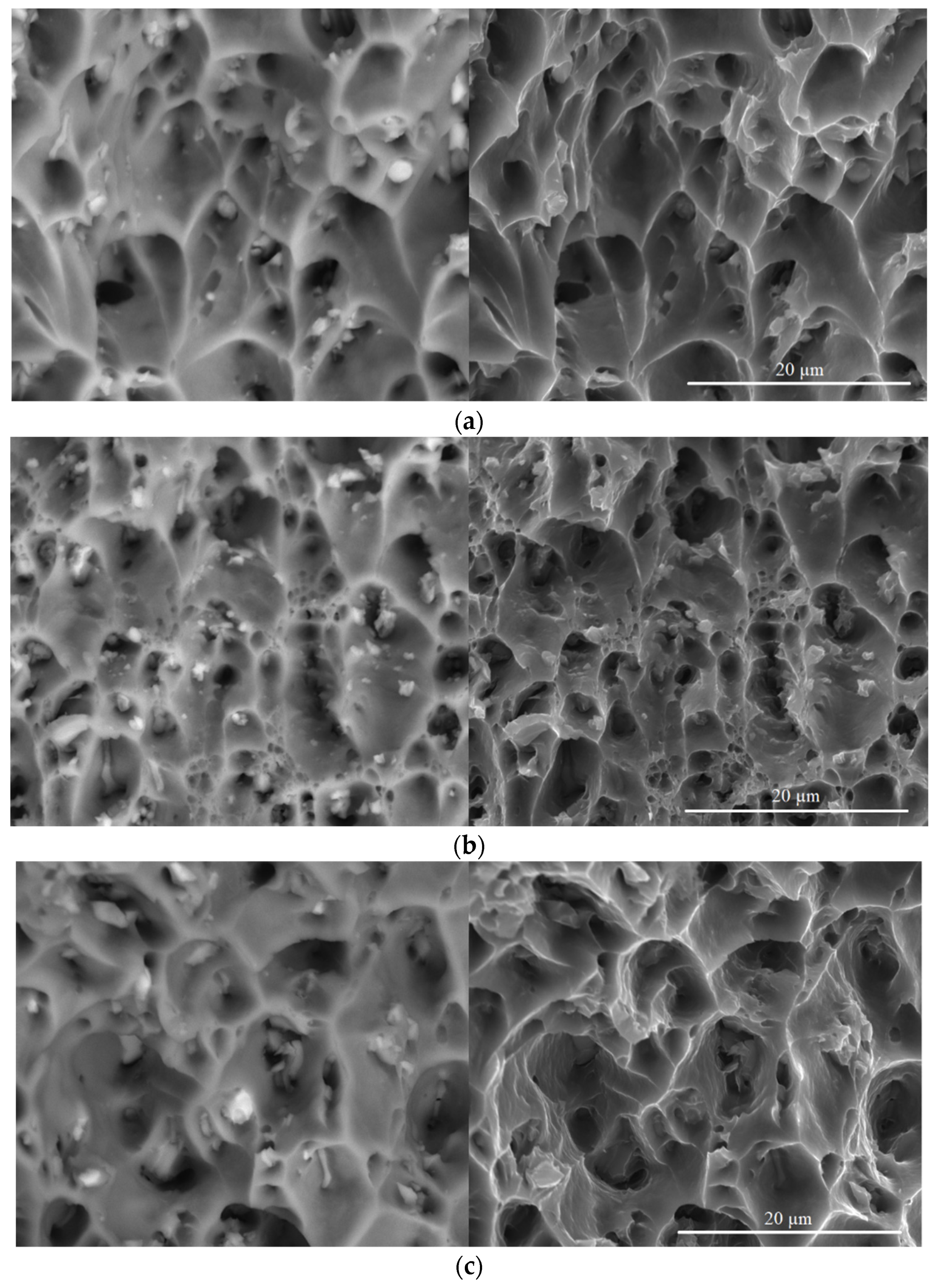 Metals 13 01911 g007a