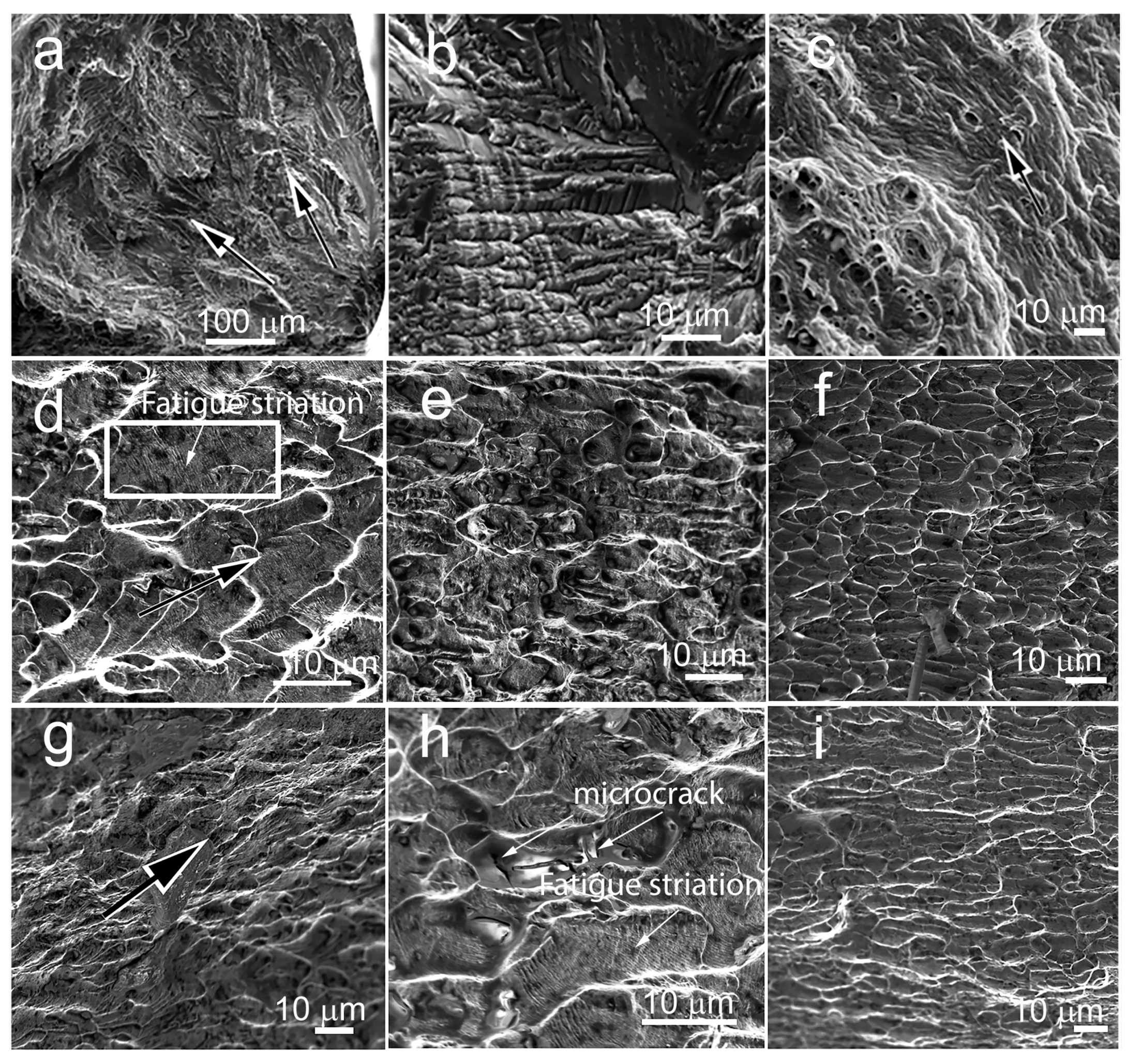 Metals 13 01951 g009