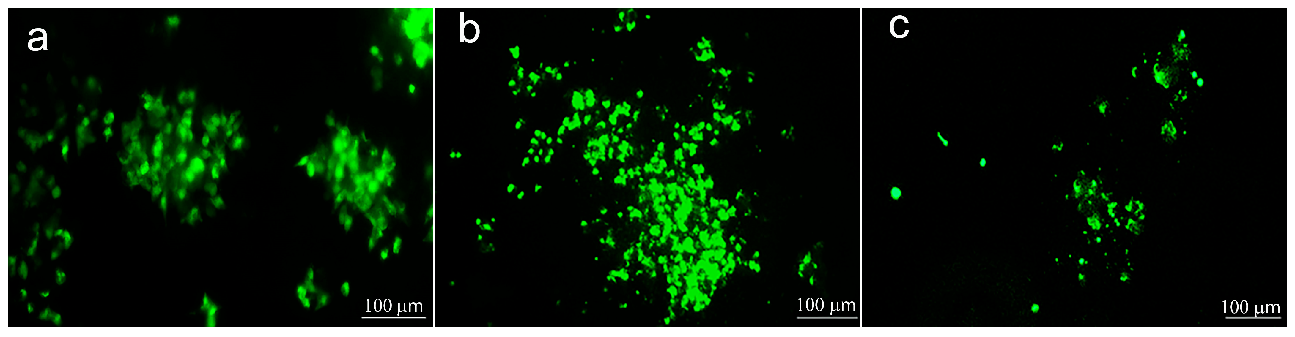 Metals 13 01951 g013