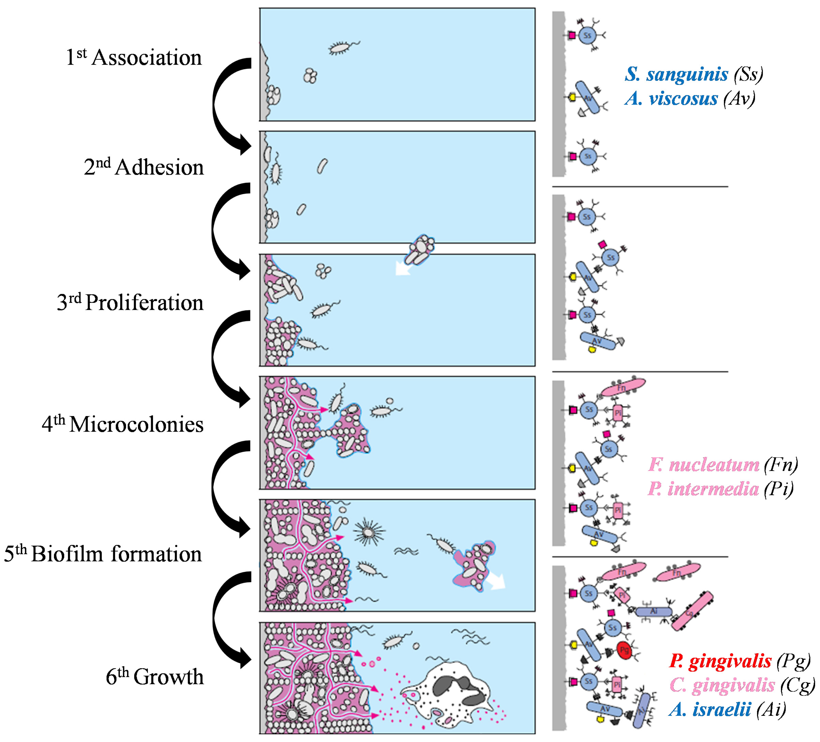 Metals 13 01955 g004