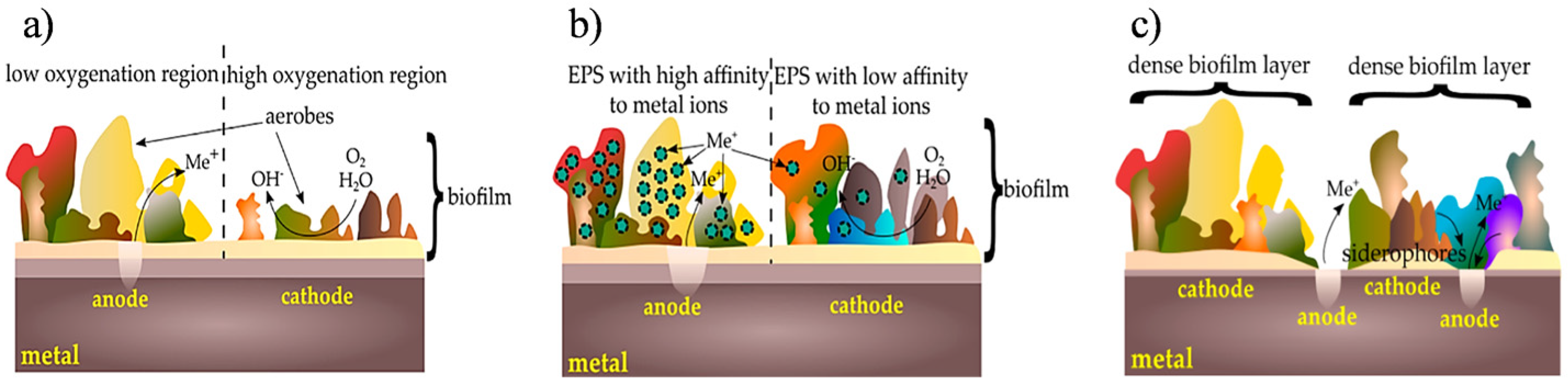 Metals 13 01955 g008