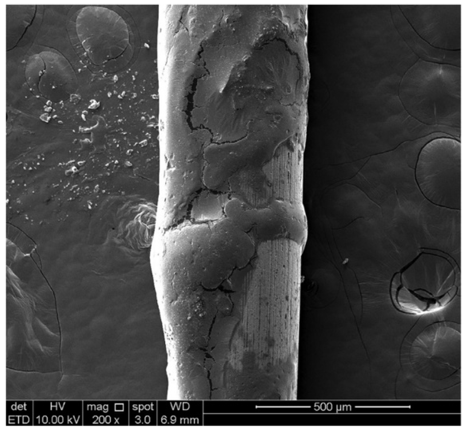 Metals 13 01955 g020