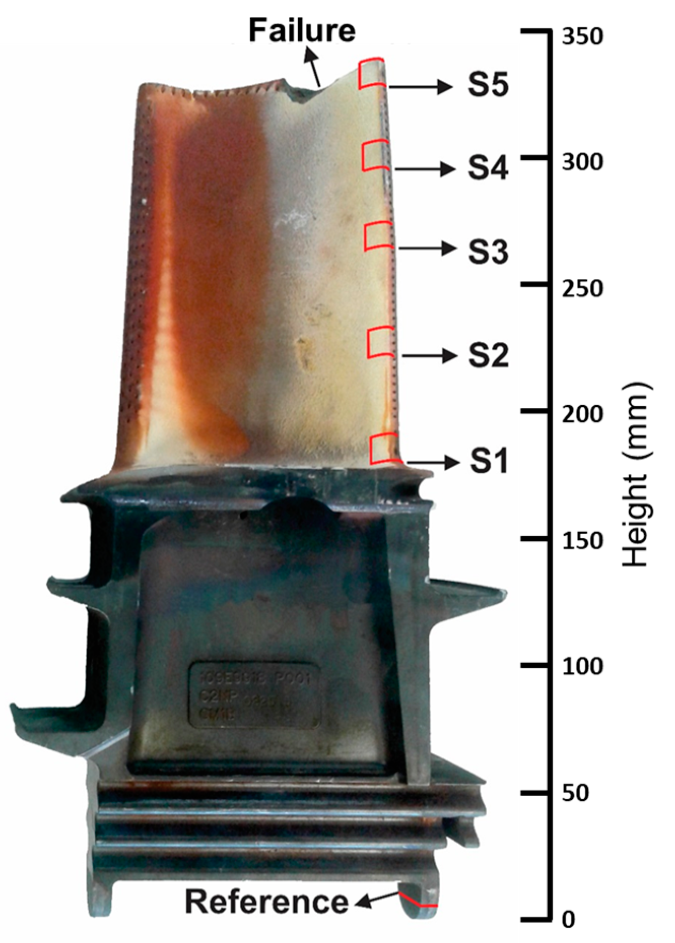 Metals 13 01968 g001