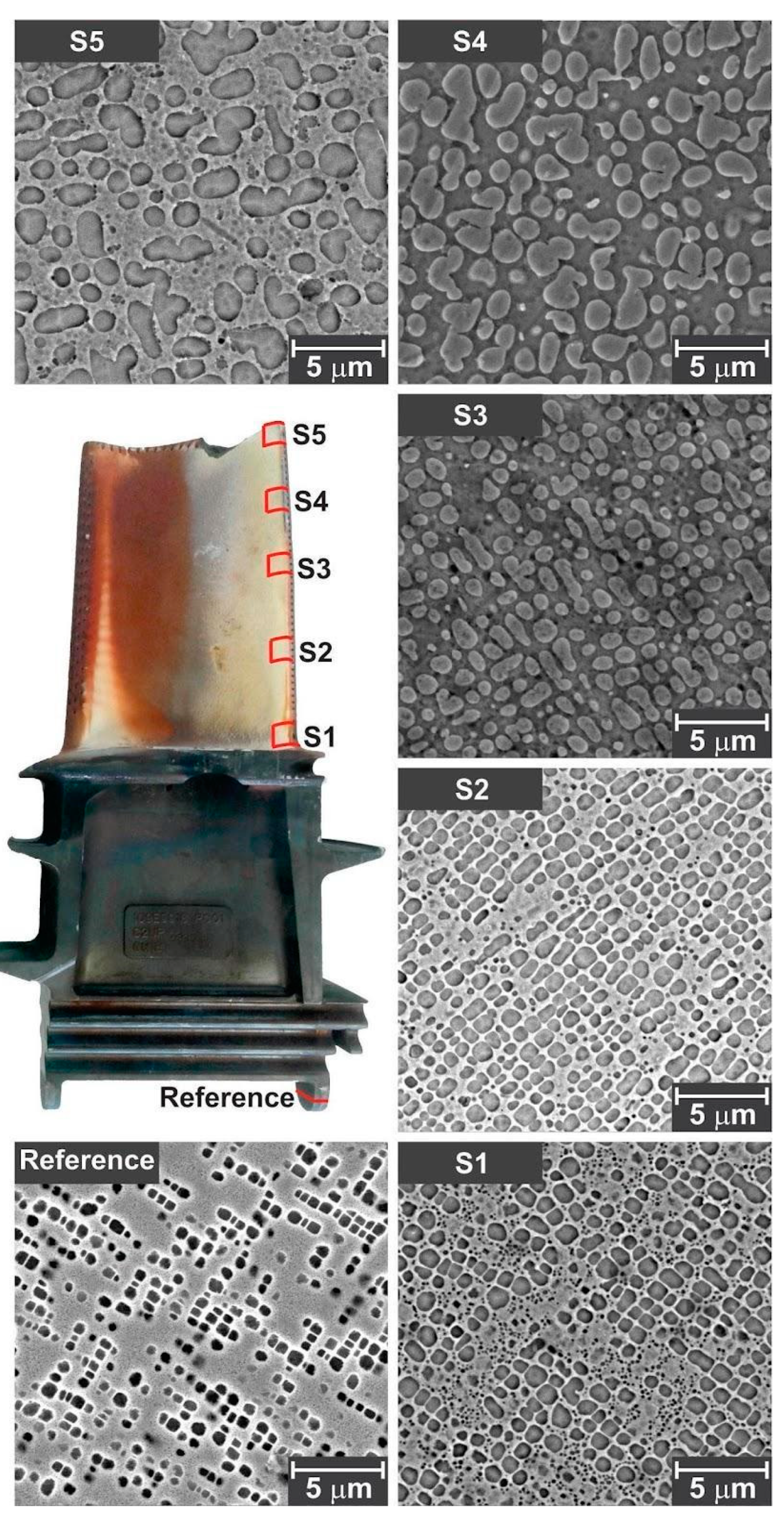 Metals 13 01968 g006