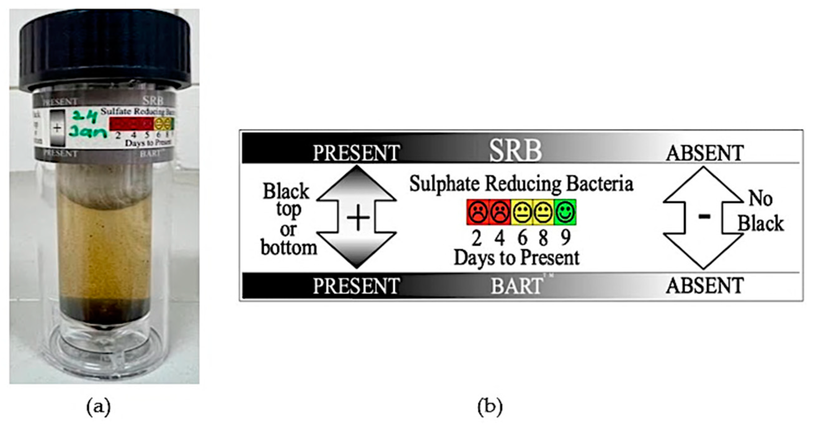 Metals 13 01974 g003