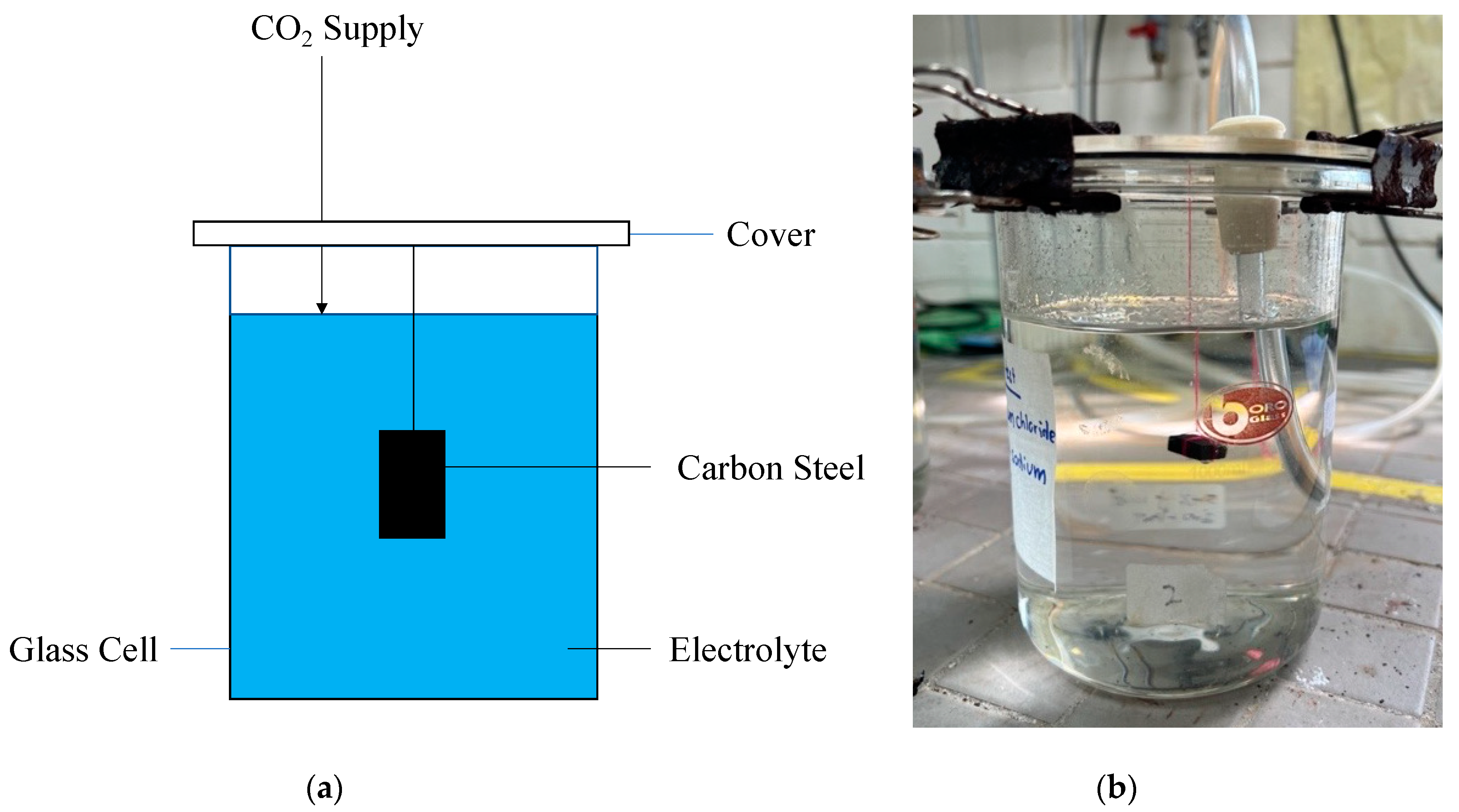 Metals 13 01974 g008