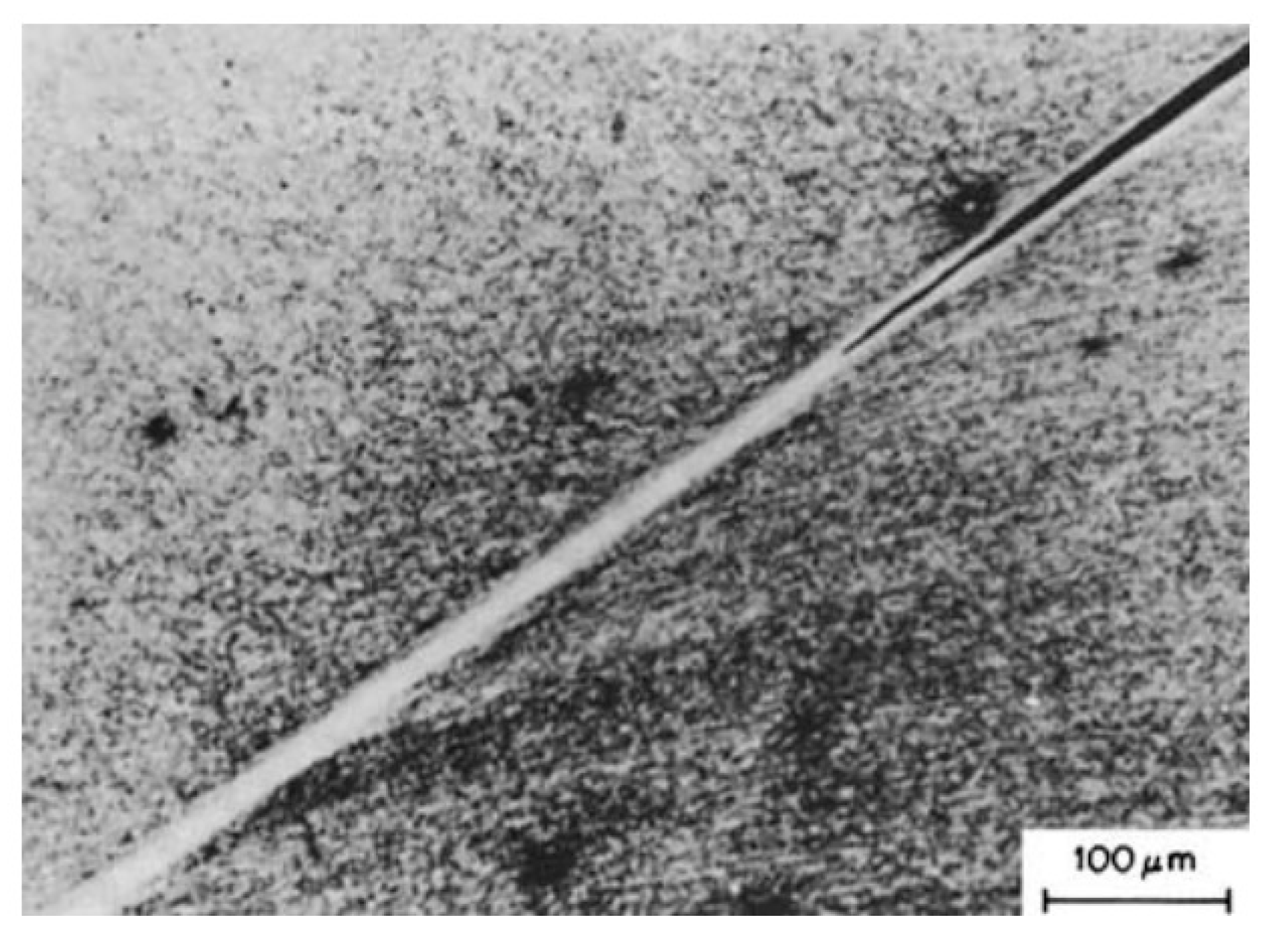 Metals 13 01988 g006 Metals 13 01988 g006