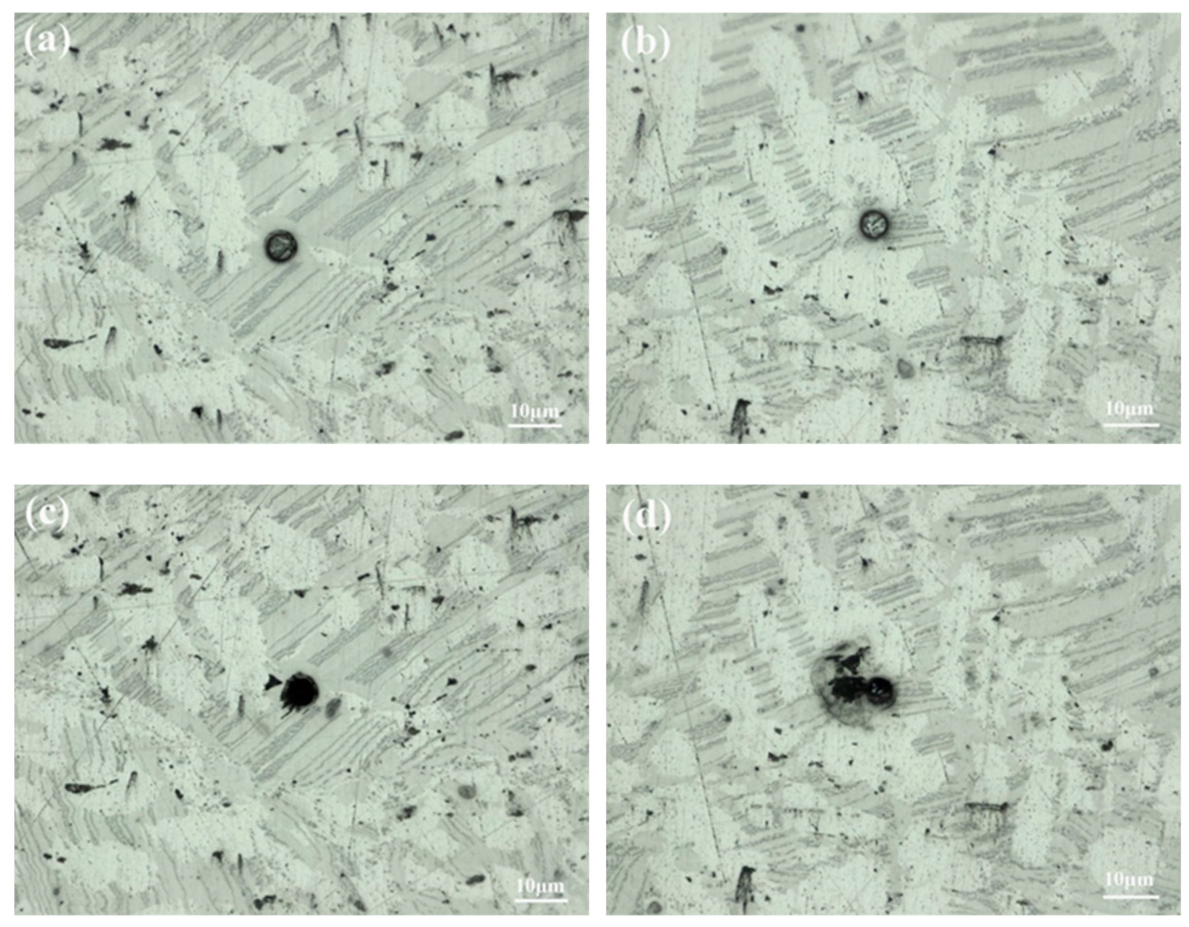 Metals 13 01989 g013