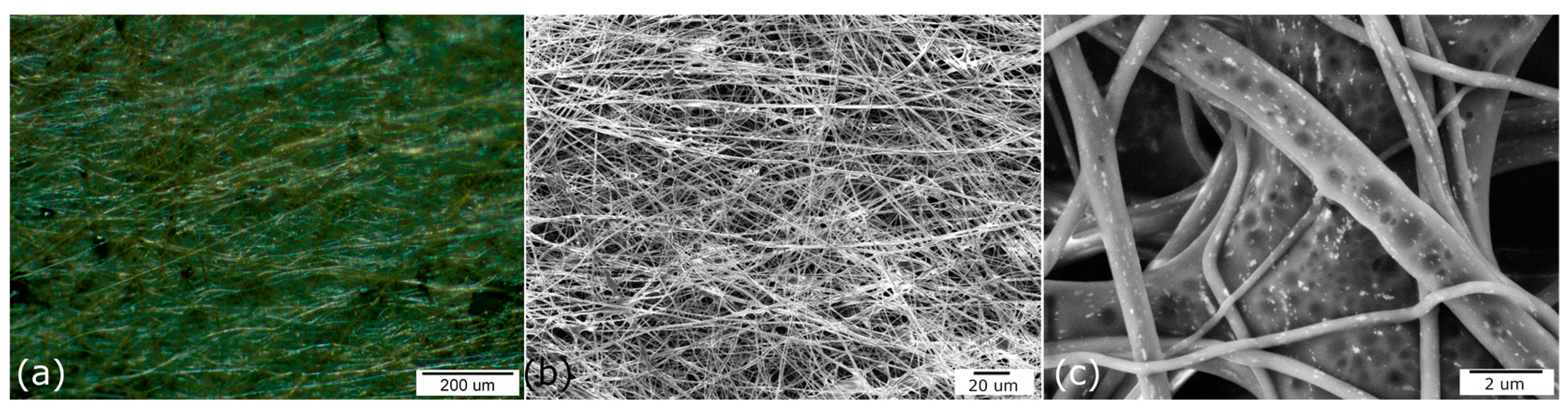 Metals 13 01996 g007