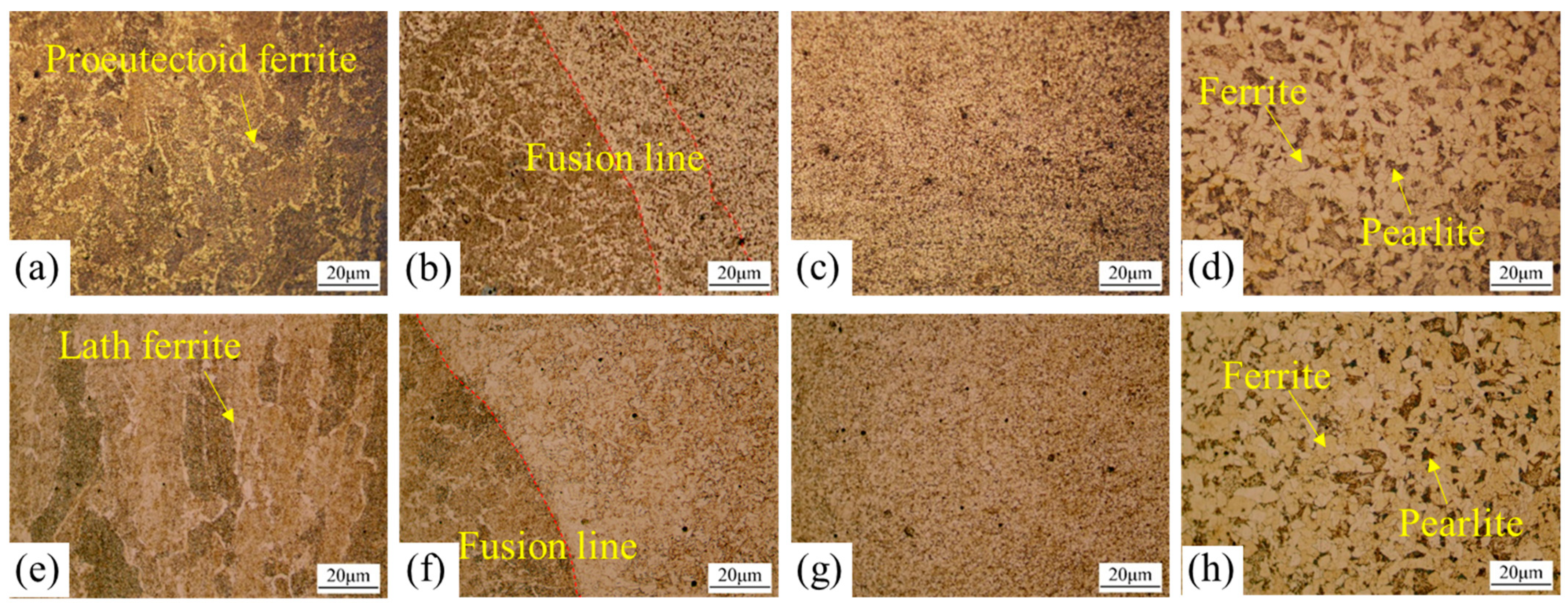 Metals 13 01998 g007