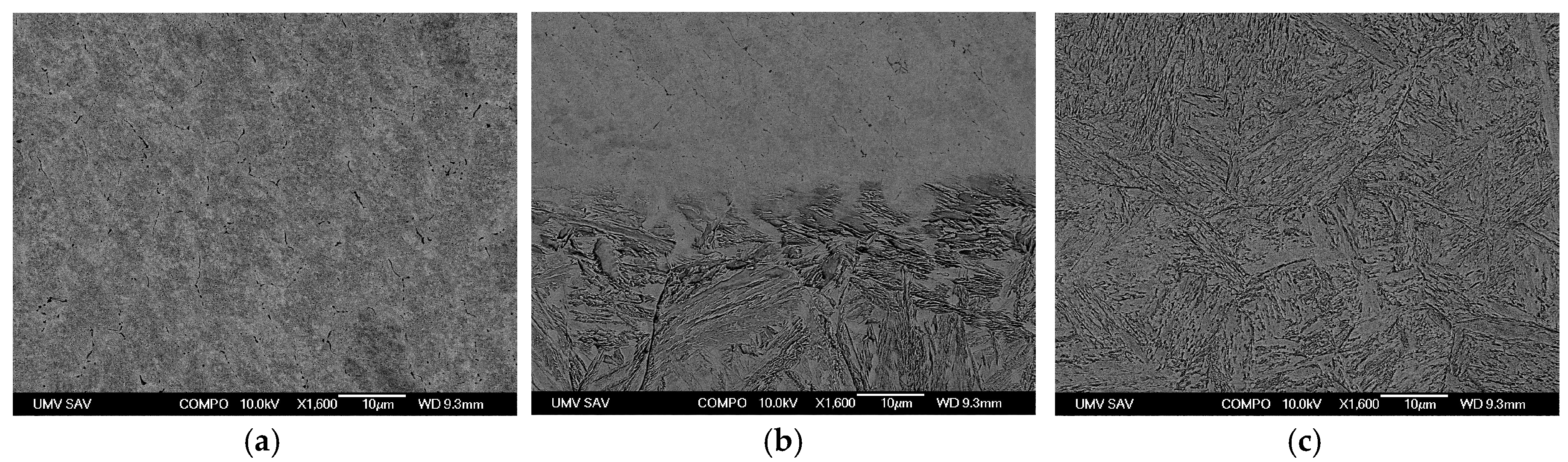 Metals 13 02003 g008