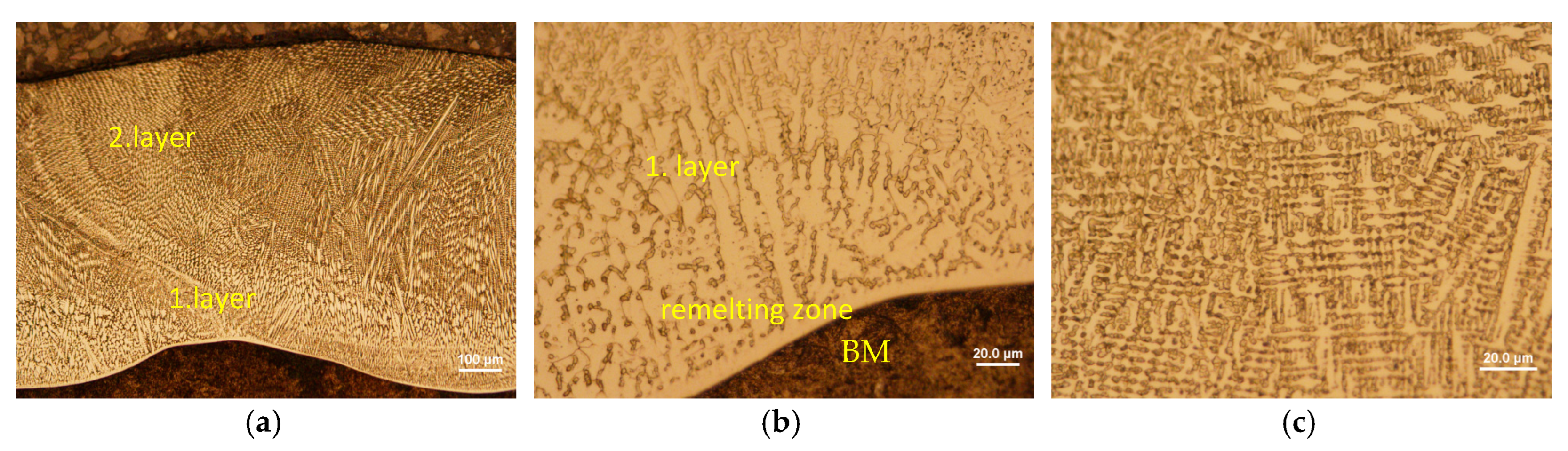 Metals 13 02003 g012