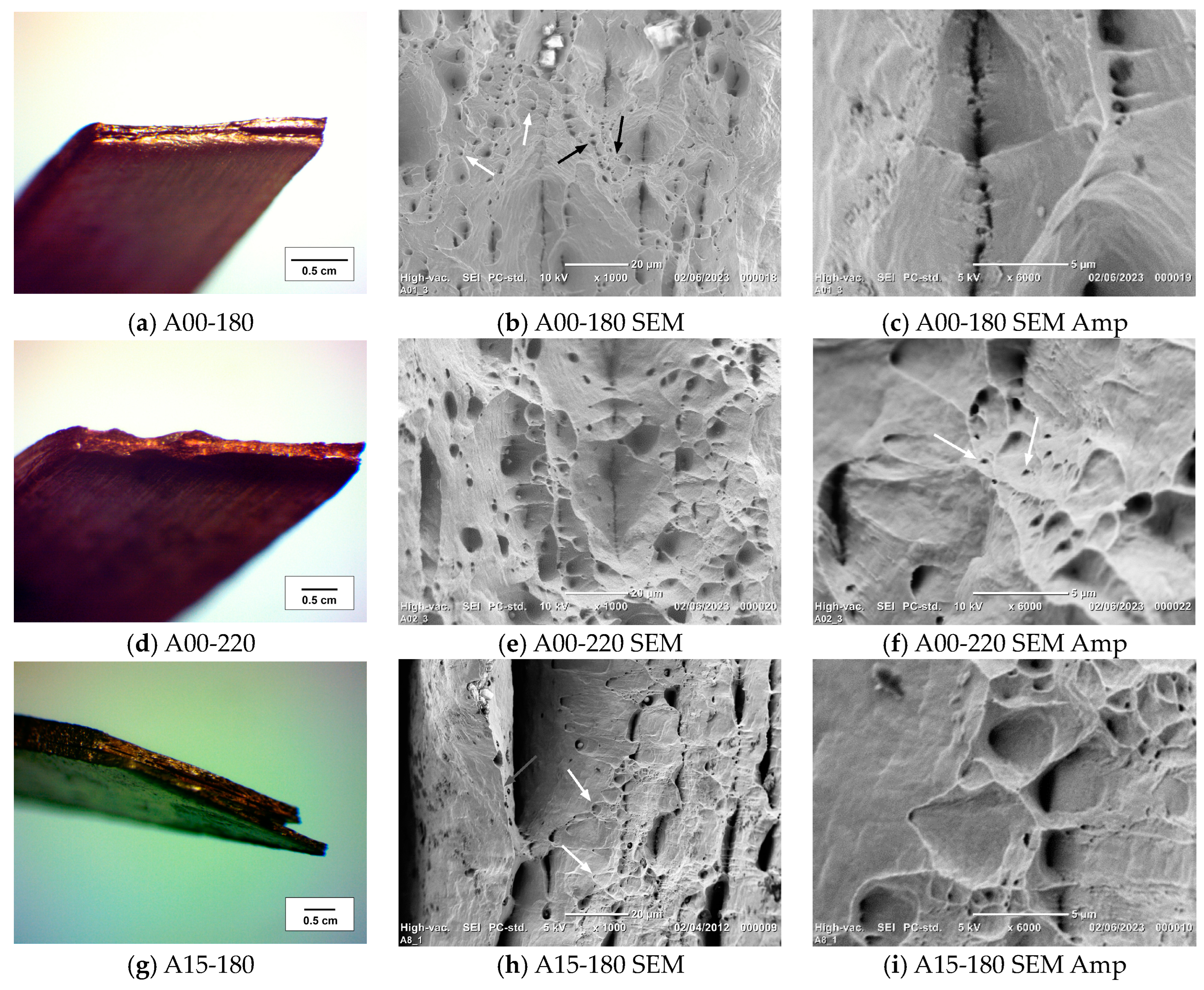 Metals 14 00004 g011