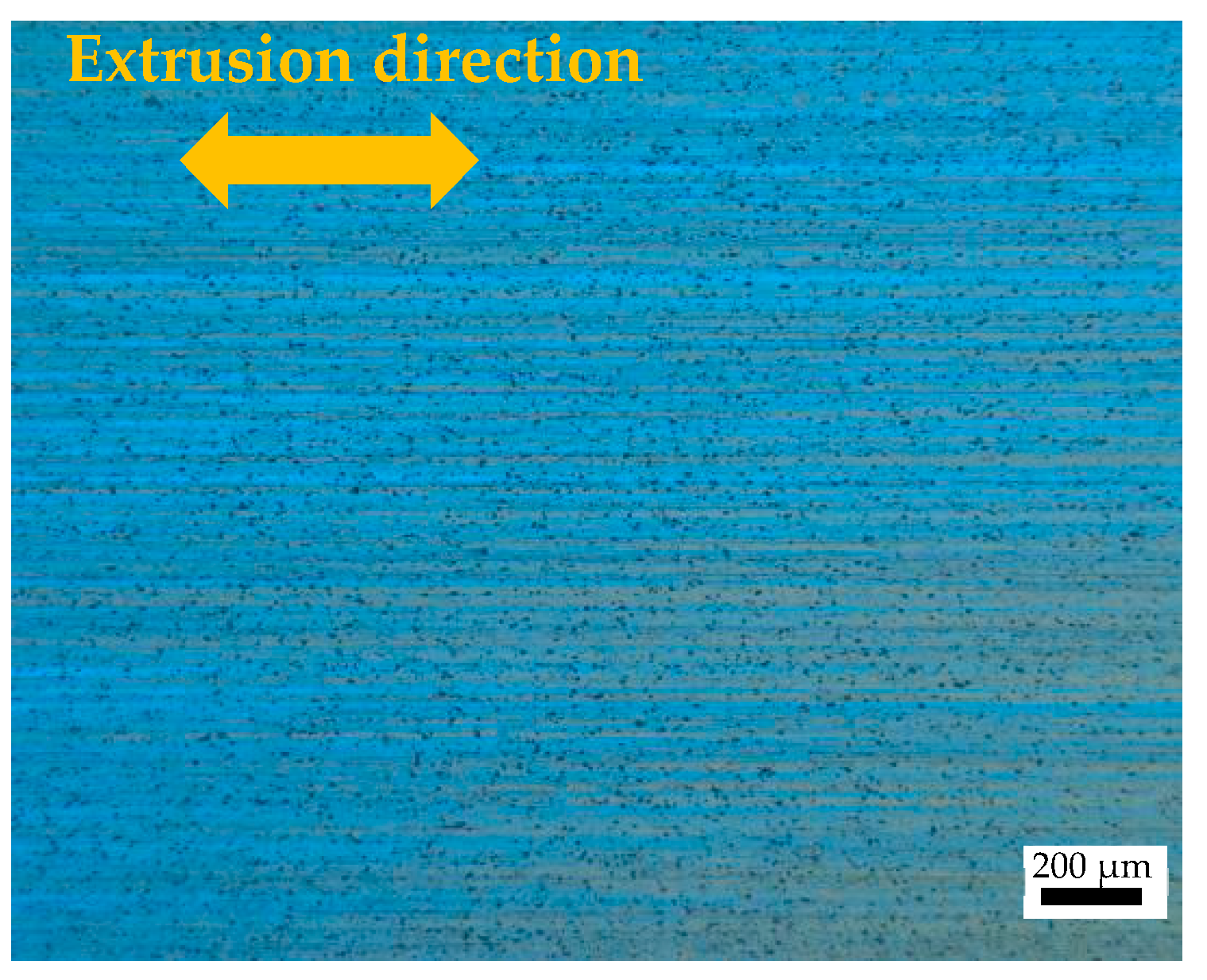 Metals 14 00007 g007