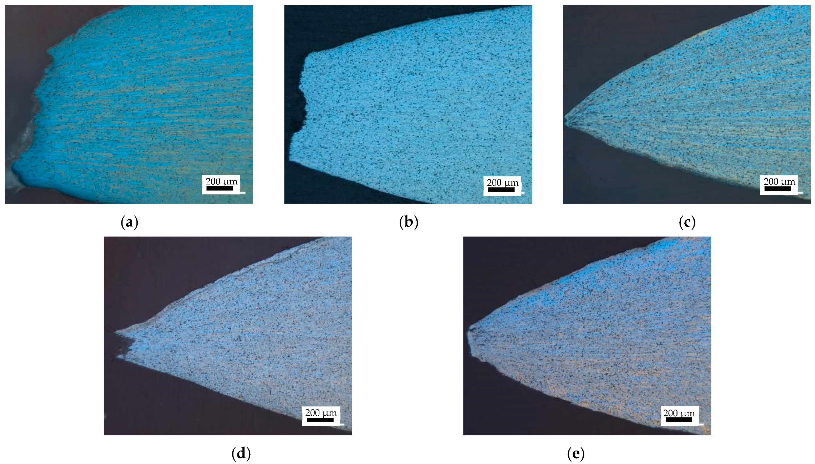 Metals 14 00007 g009