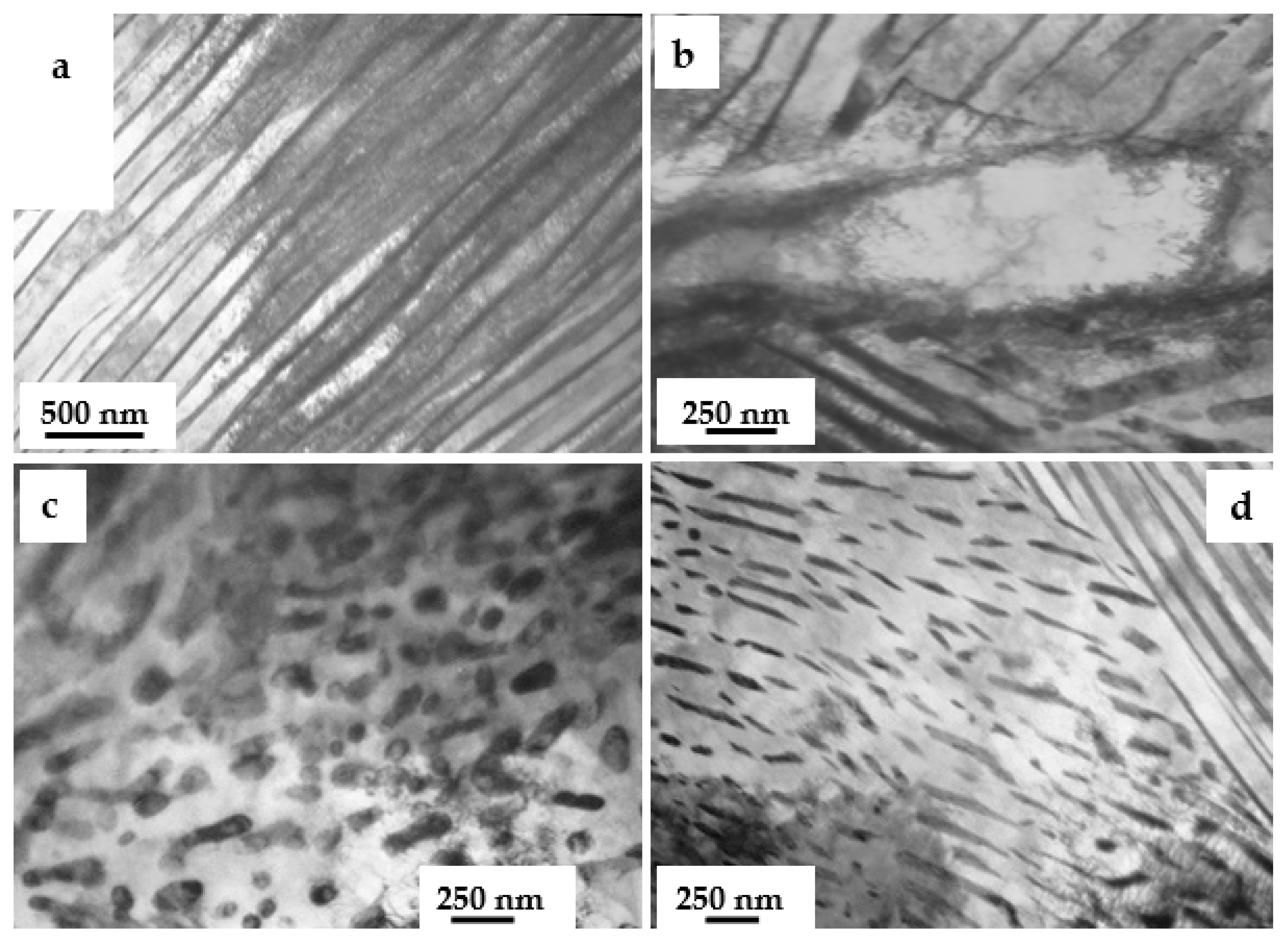 Metals 14 00009 g001