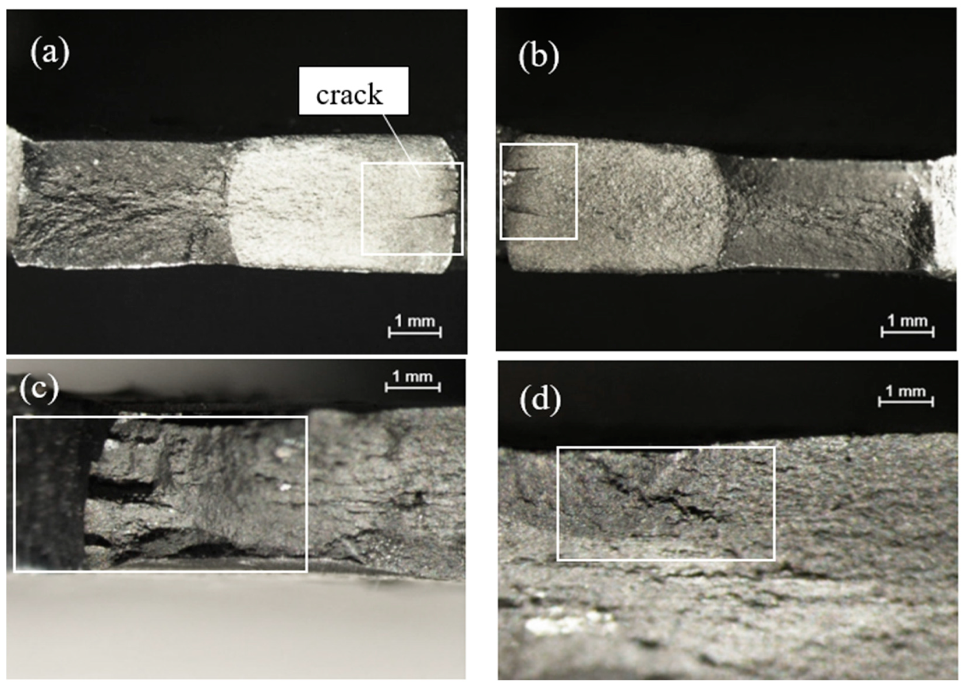 Metals 14 00011 g011