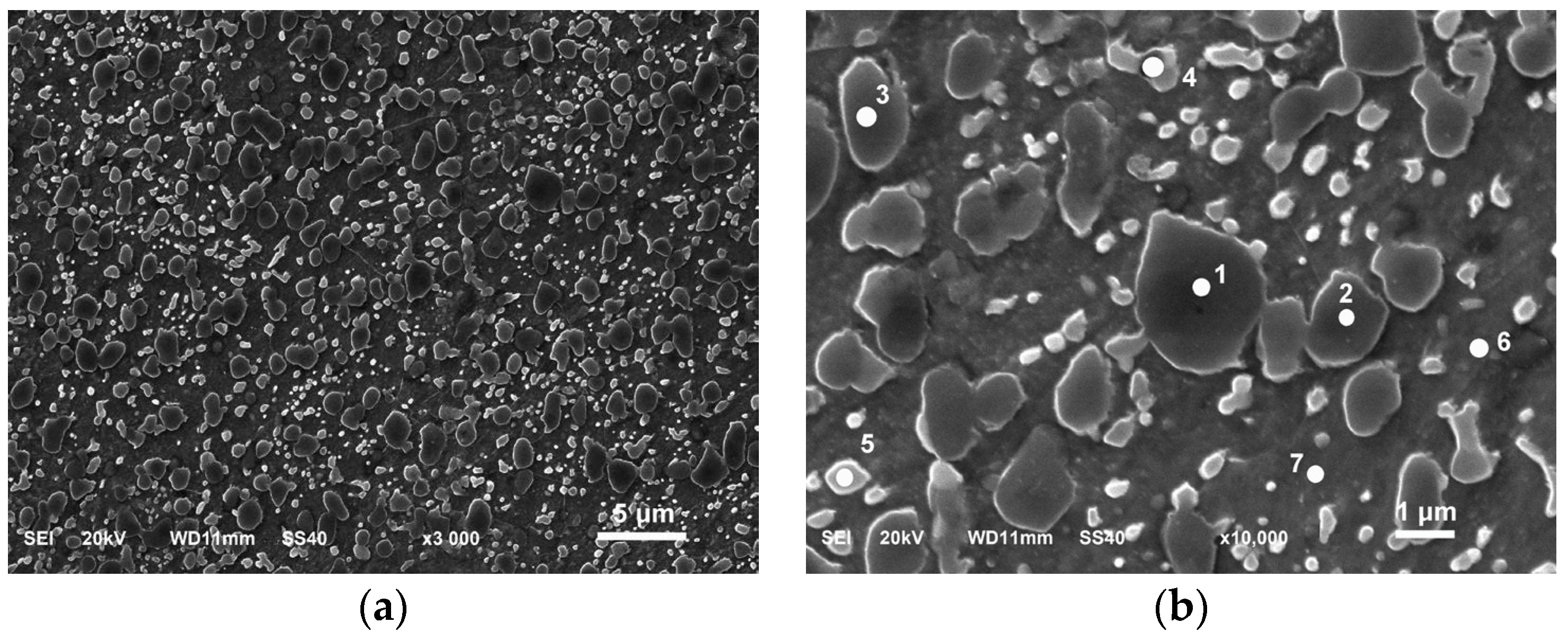 Metals 14 00022 g002