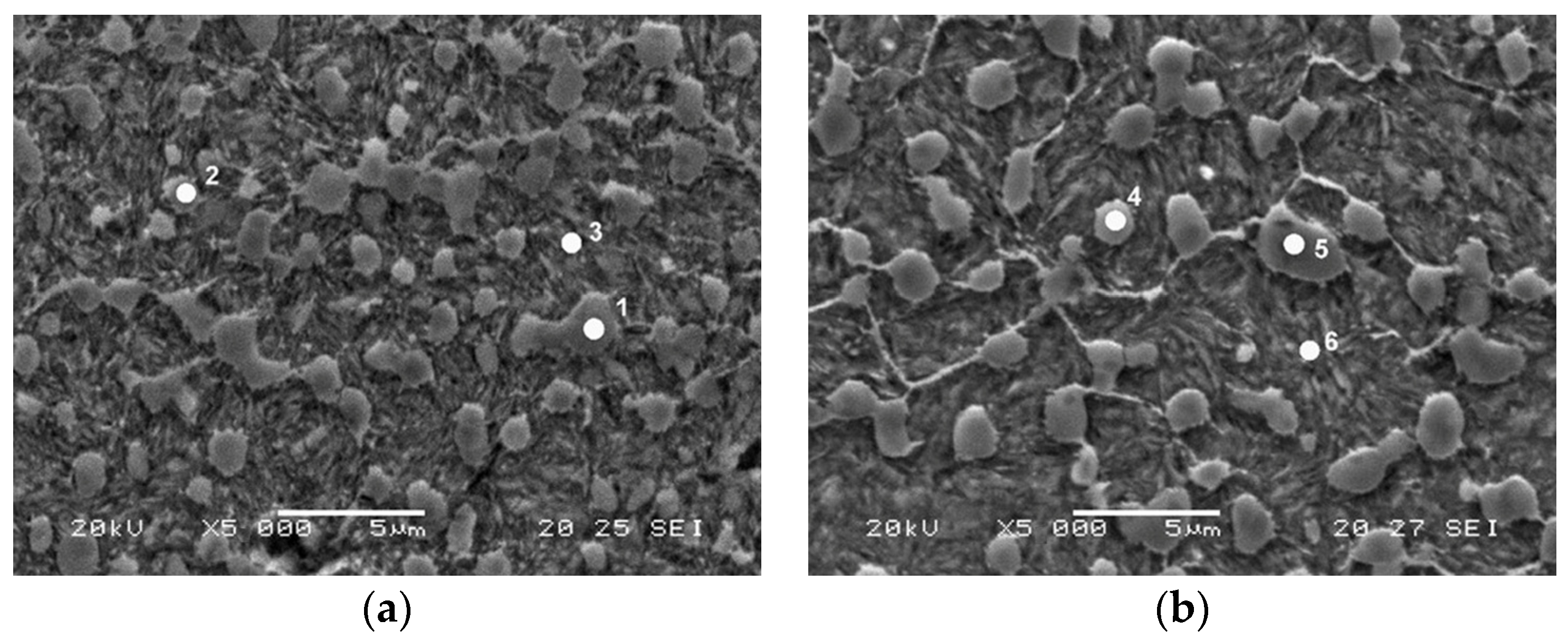 Metals 14 00022 g012