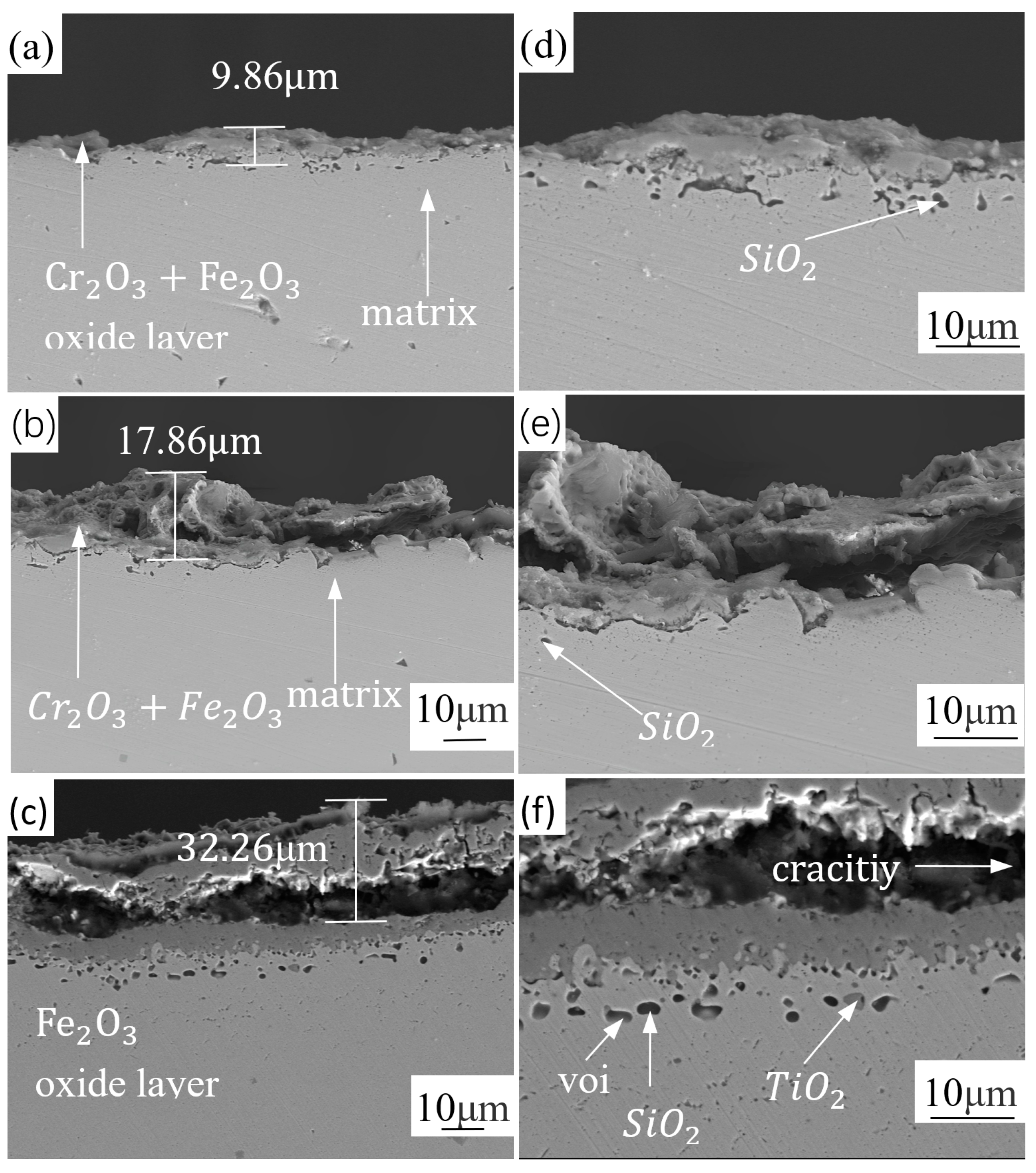 Metals 14 00025 g005