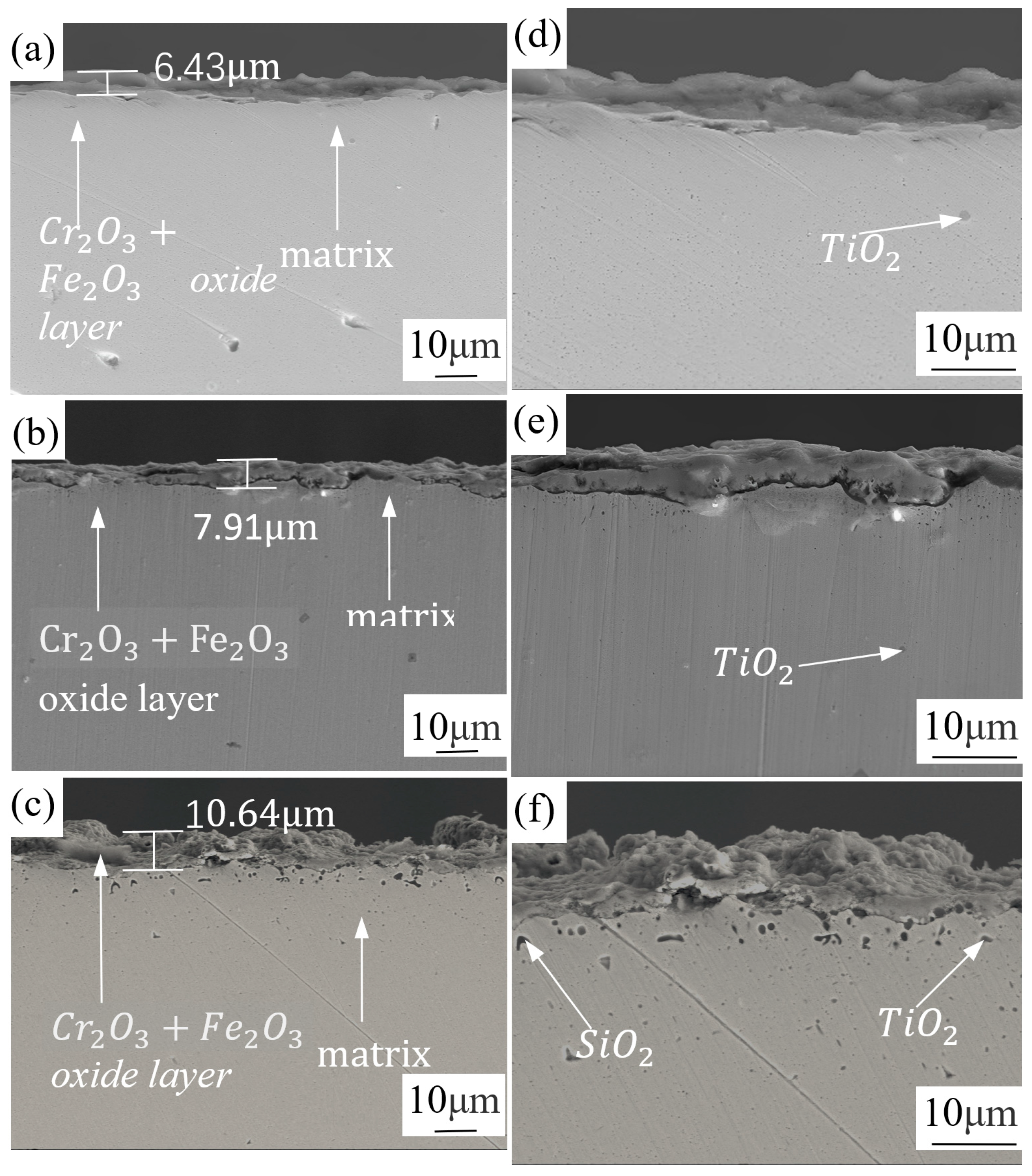 Metals 14 00025 g006