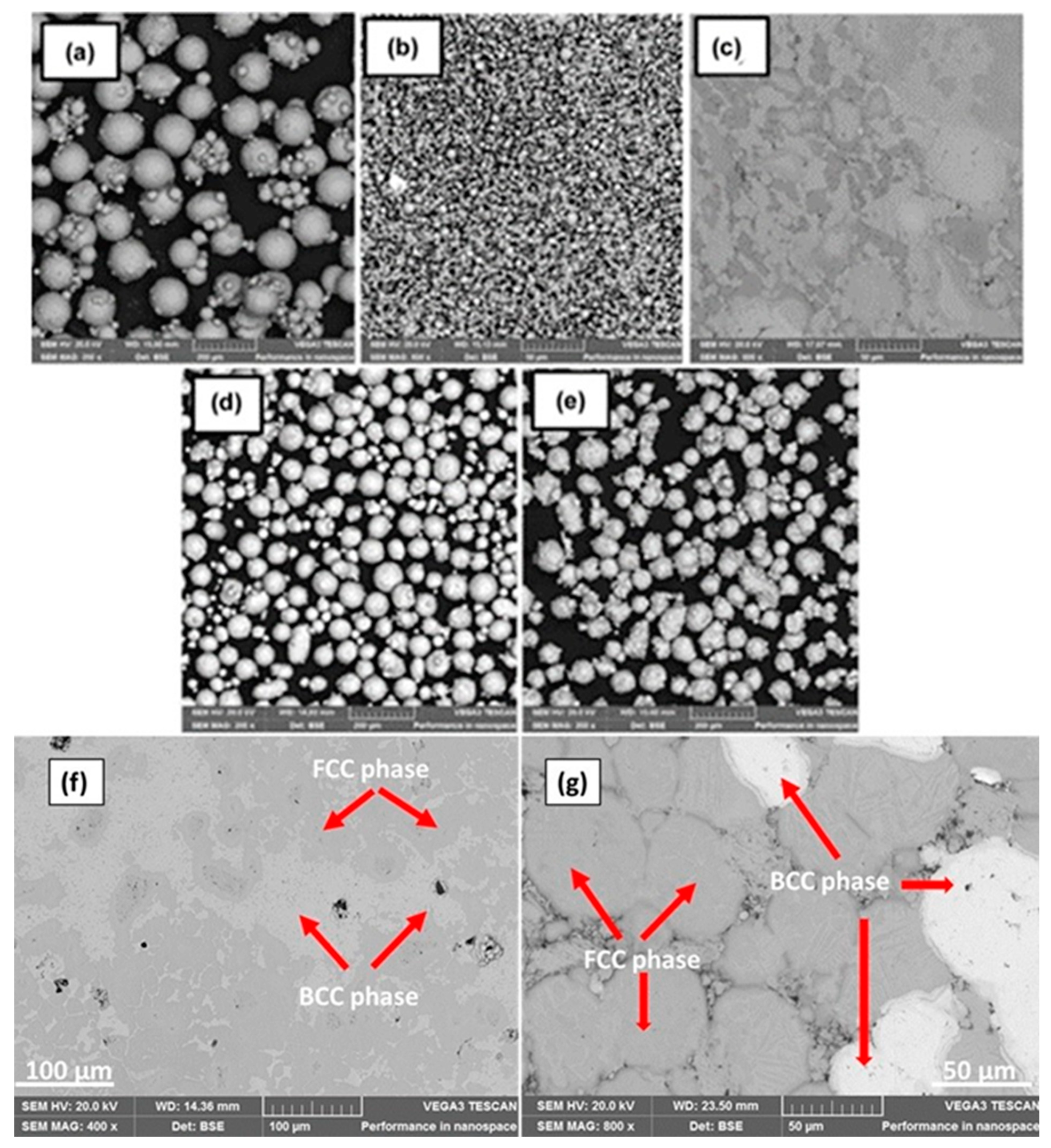 Metals 14 00027 g005