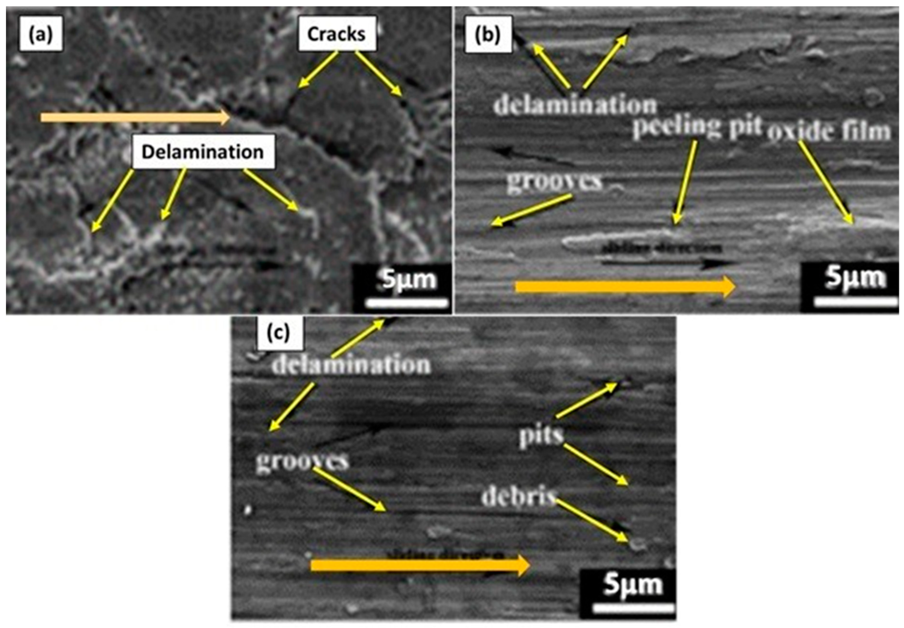 Metals 14 00027 g008