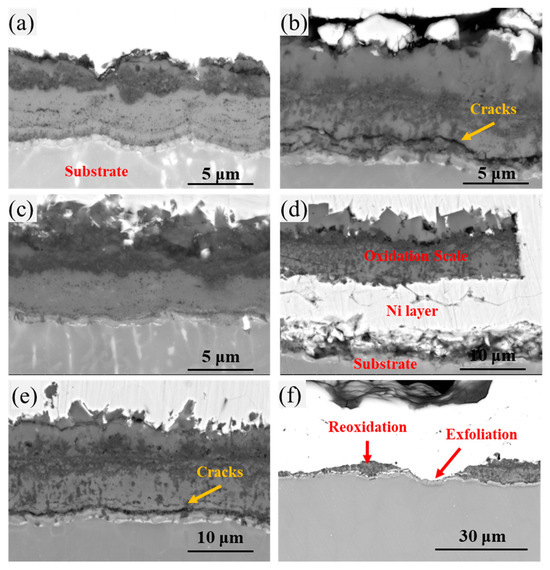 Cyclic Oxidation Kinetics and Thermal Stress Evolution of TiAl Alloys ...