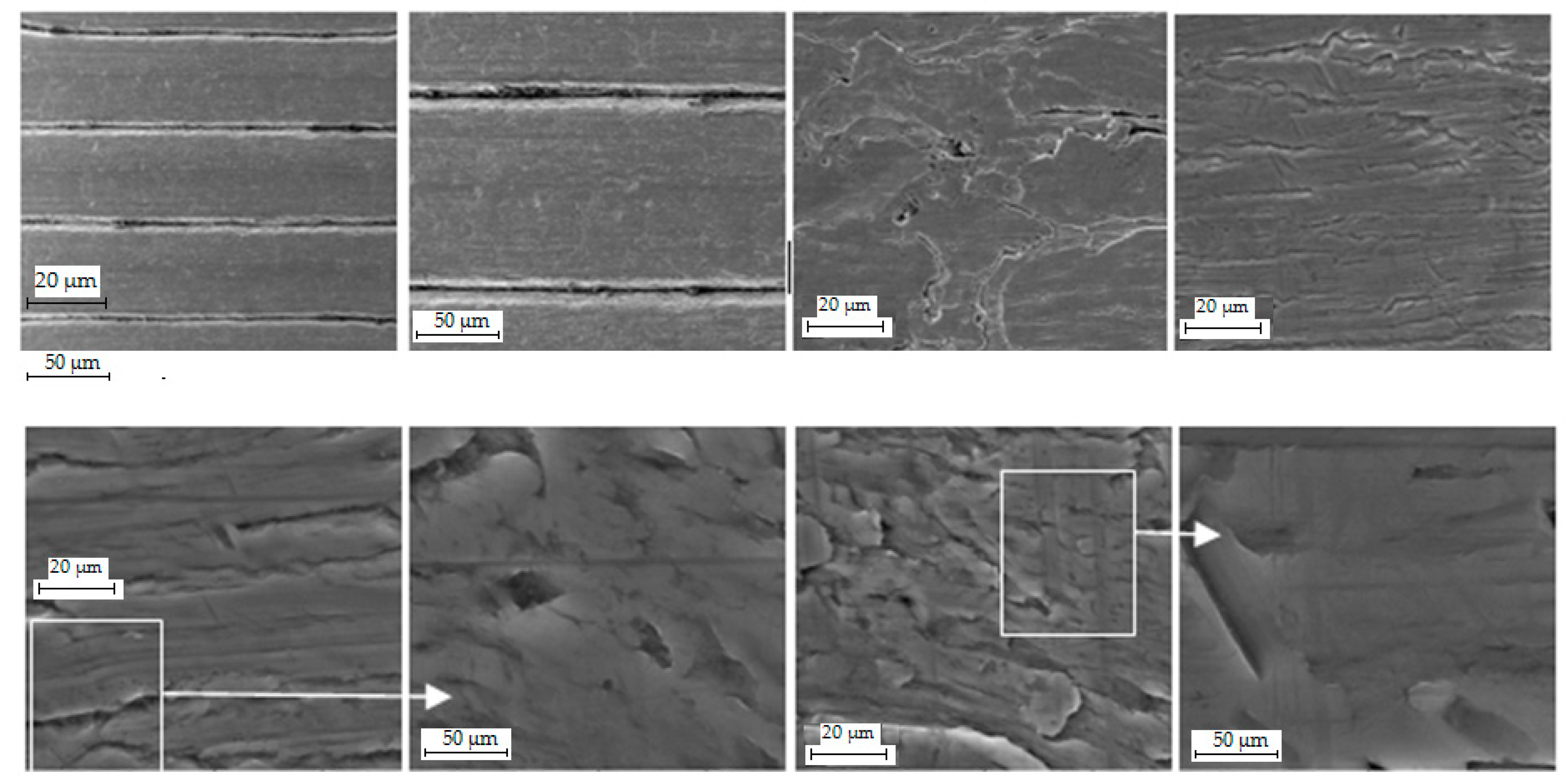 Metals 14 00031 g008