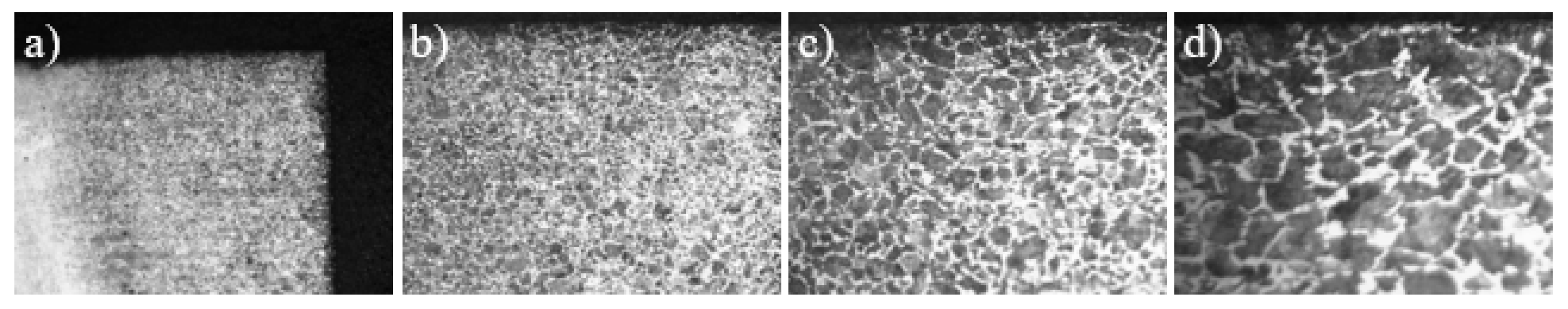 Metals 14 00031 g011