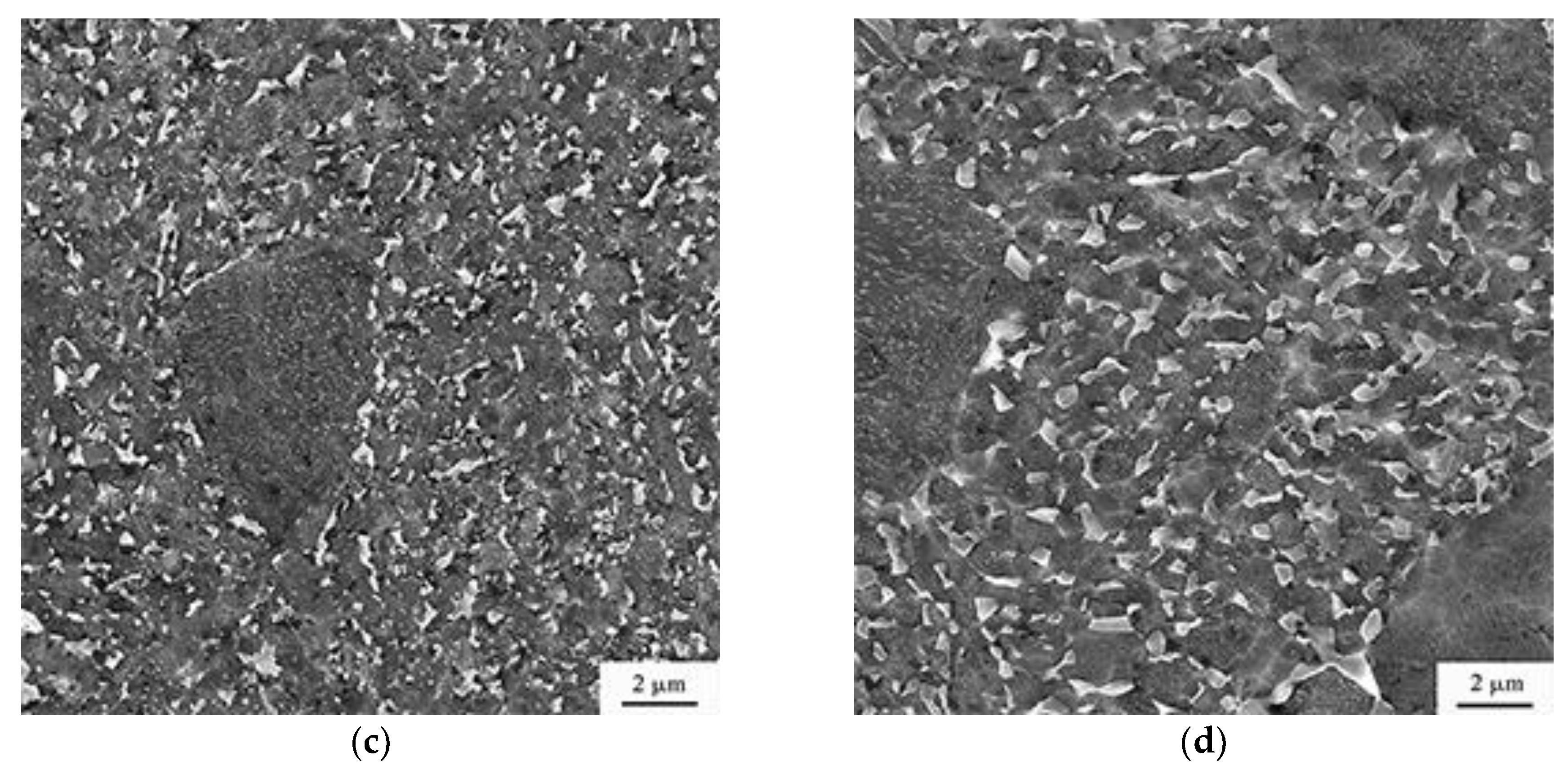 Metals 14 00036 g002b