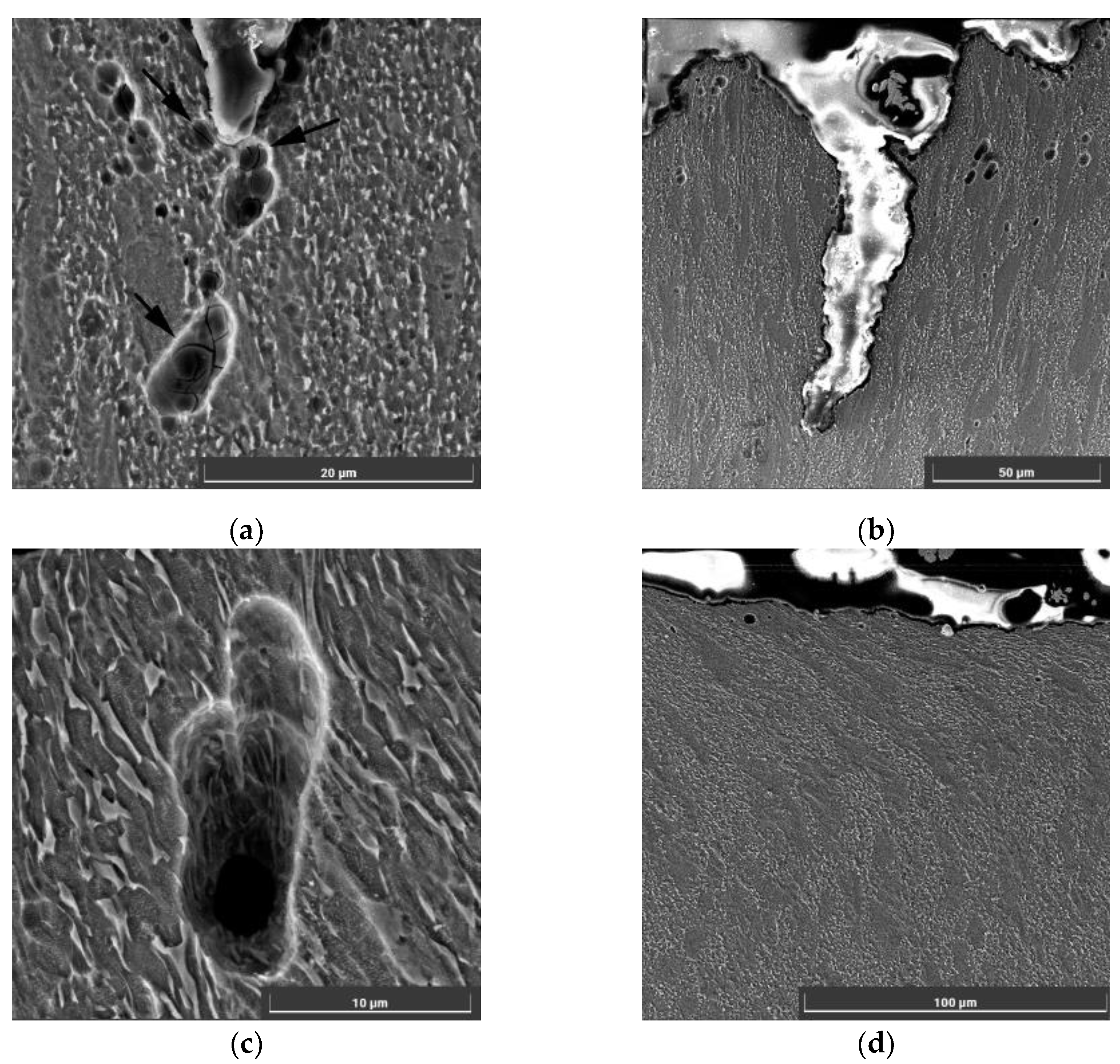 Metals 14 00036 g014