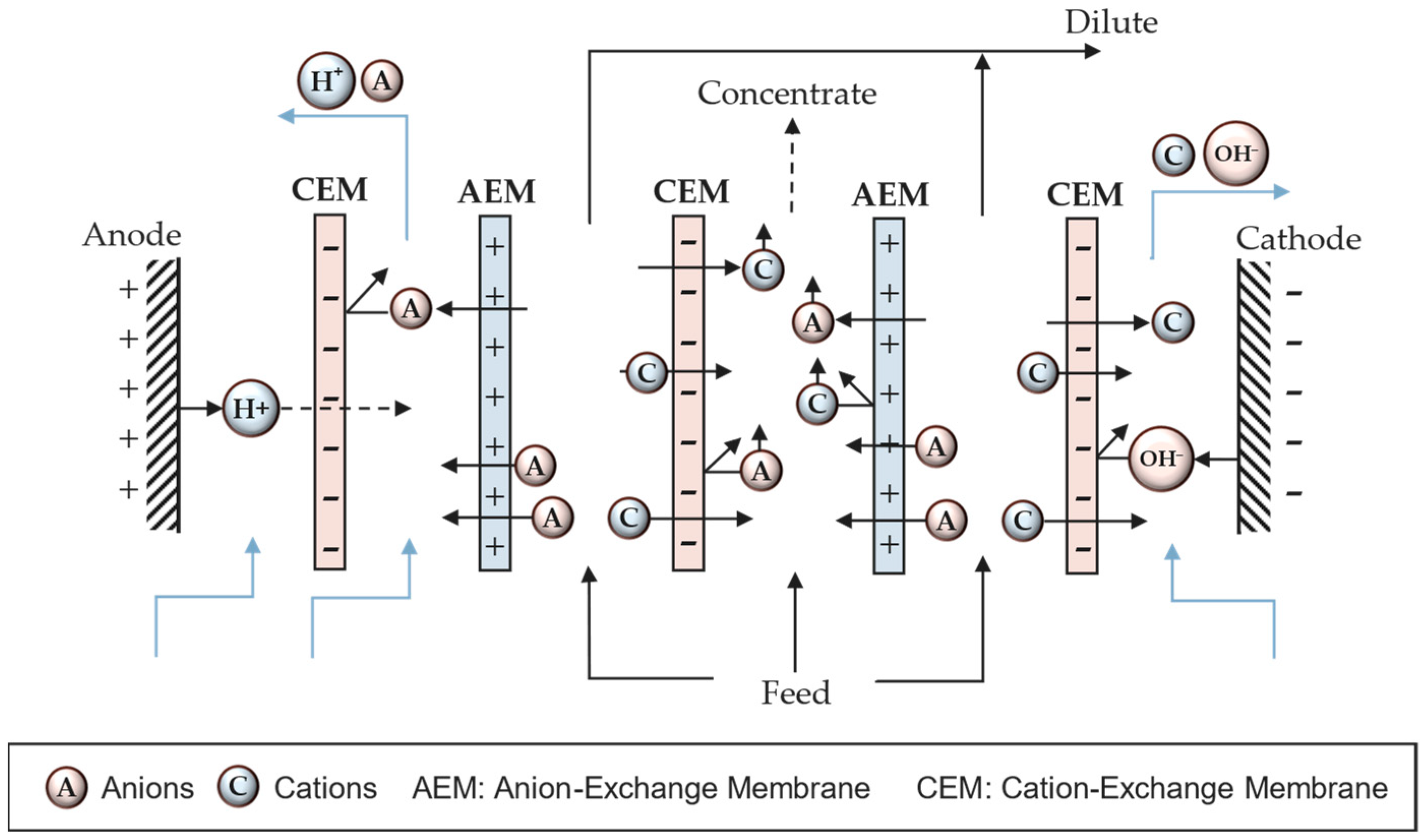 Metals 14 00038 g002