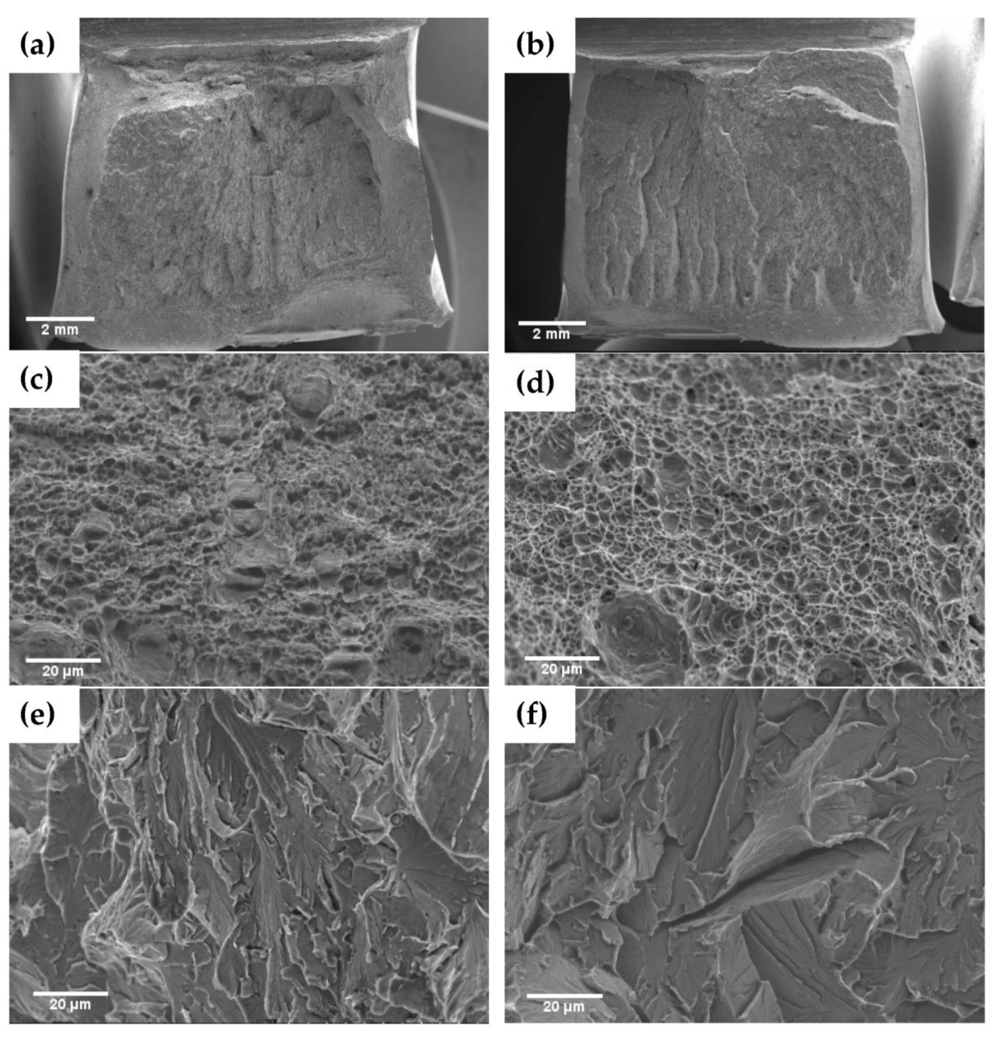 Metals 14 00042 g009