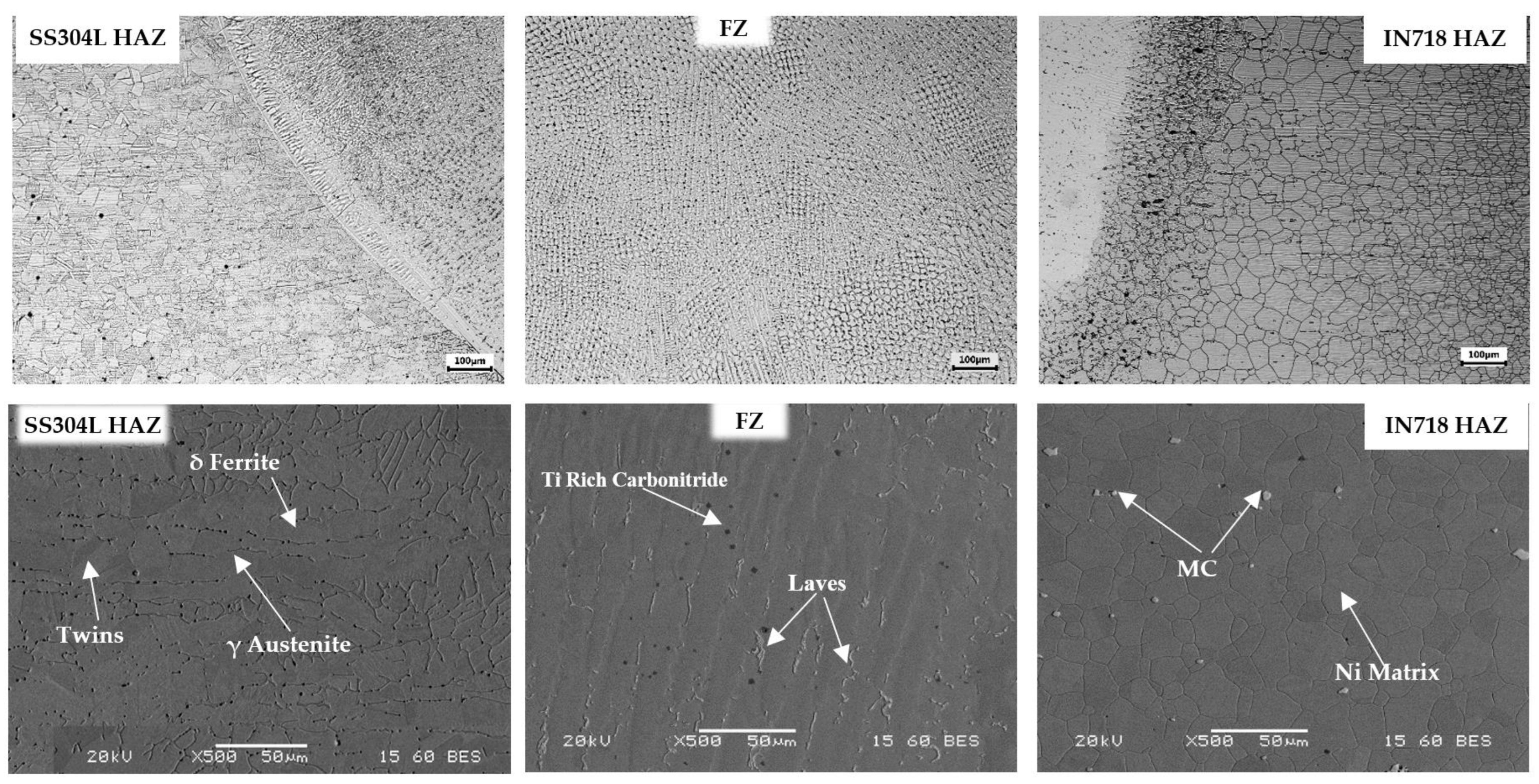 Metals 14 00054 g003