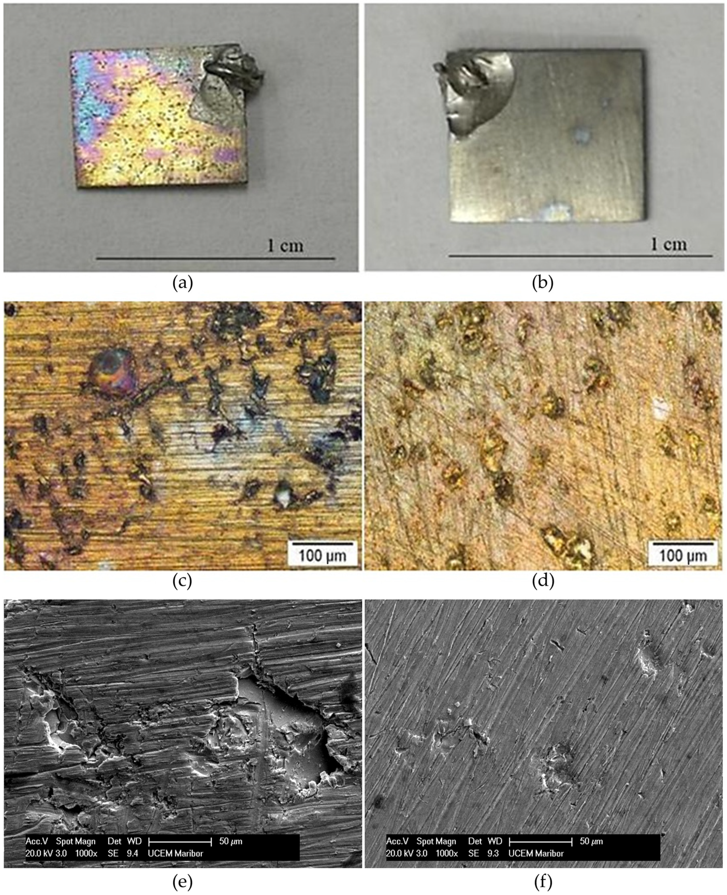 Metals 14 00088 g008