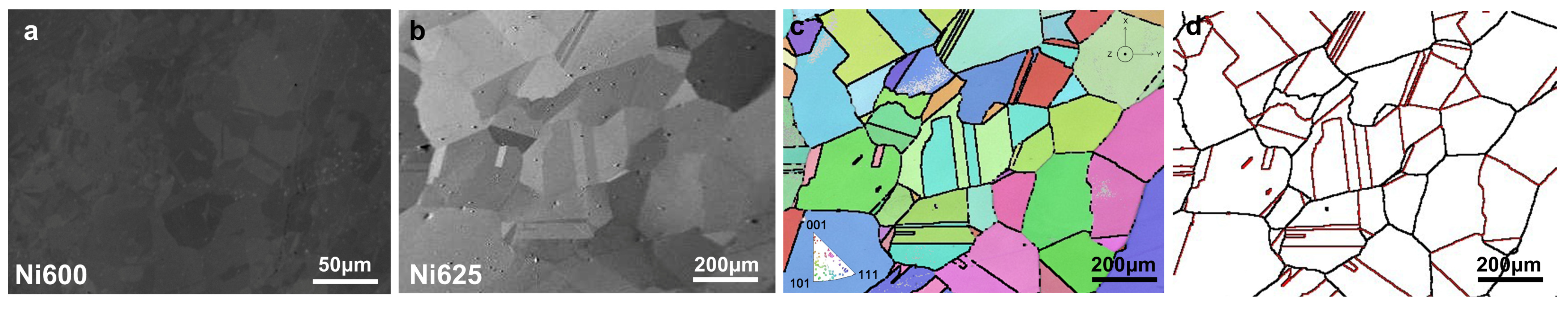 Metals 14 00091 g001