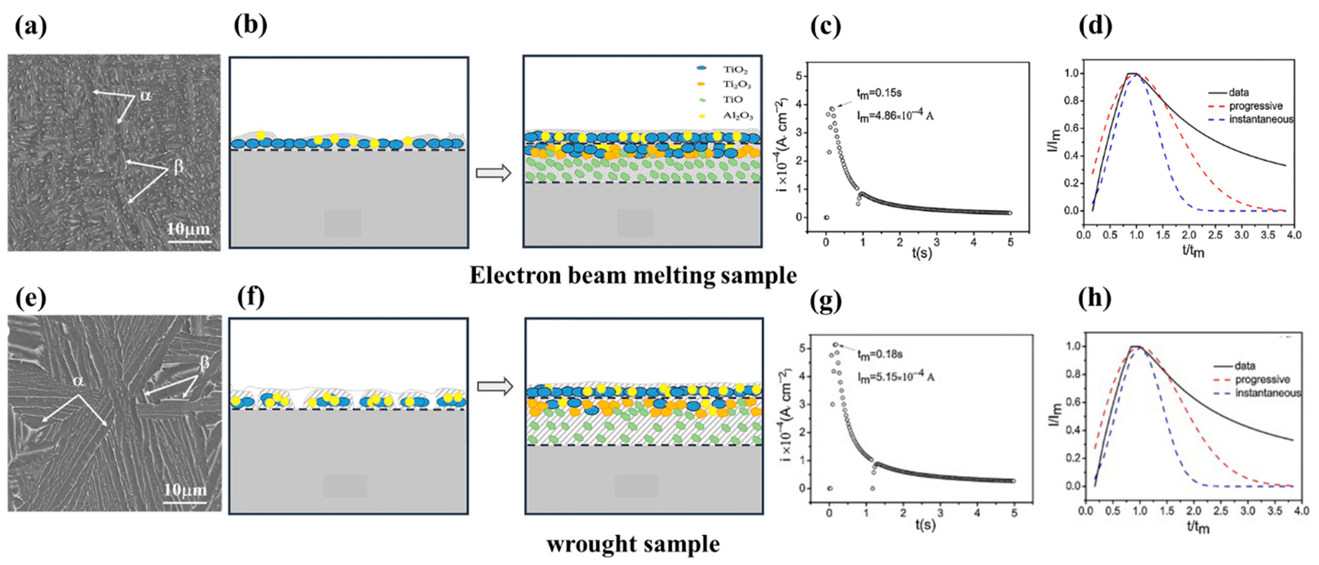 Metals 14 00096 g007