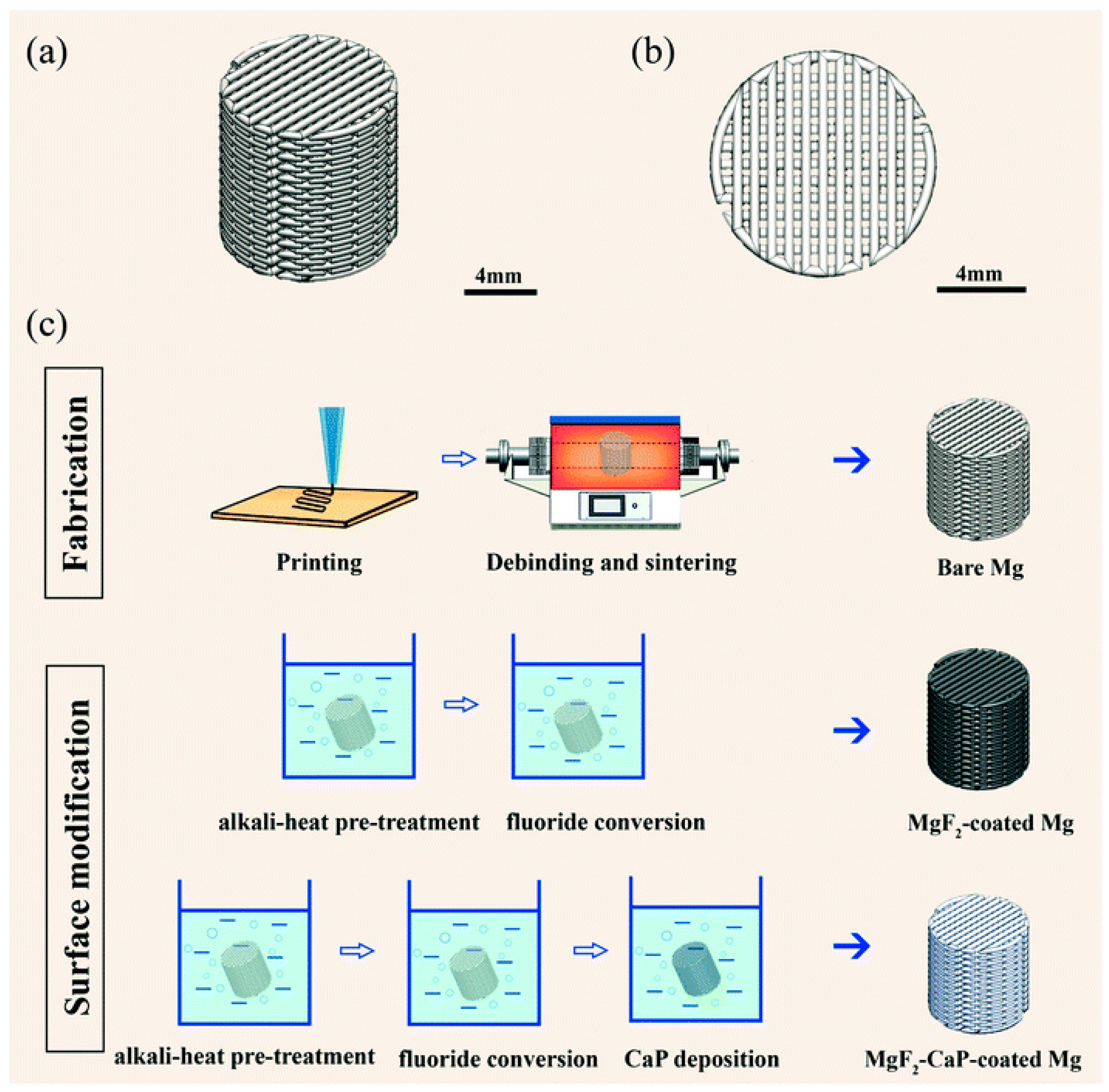 Metals 14 00096 g010