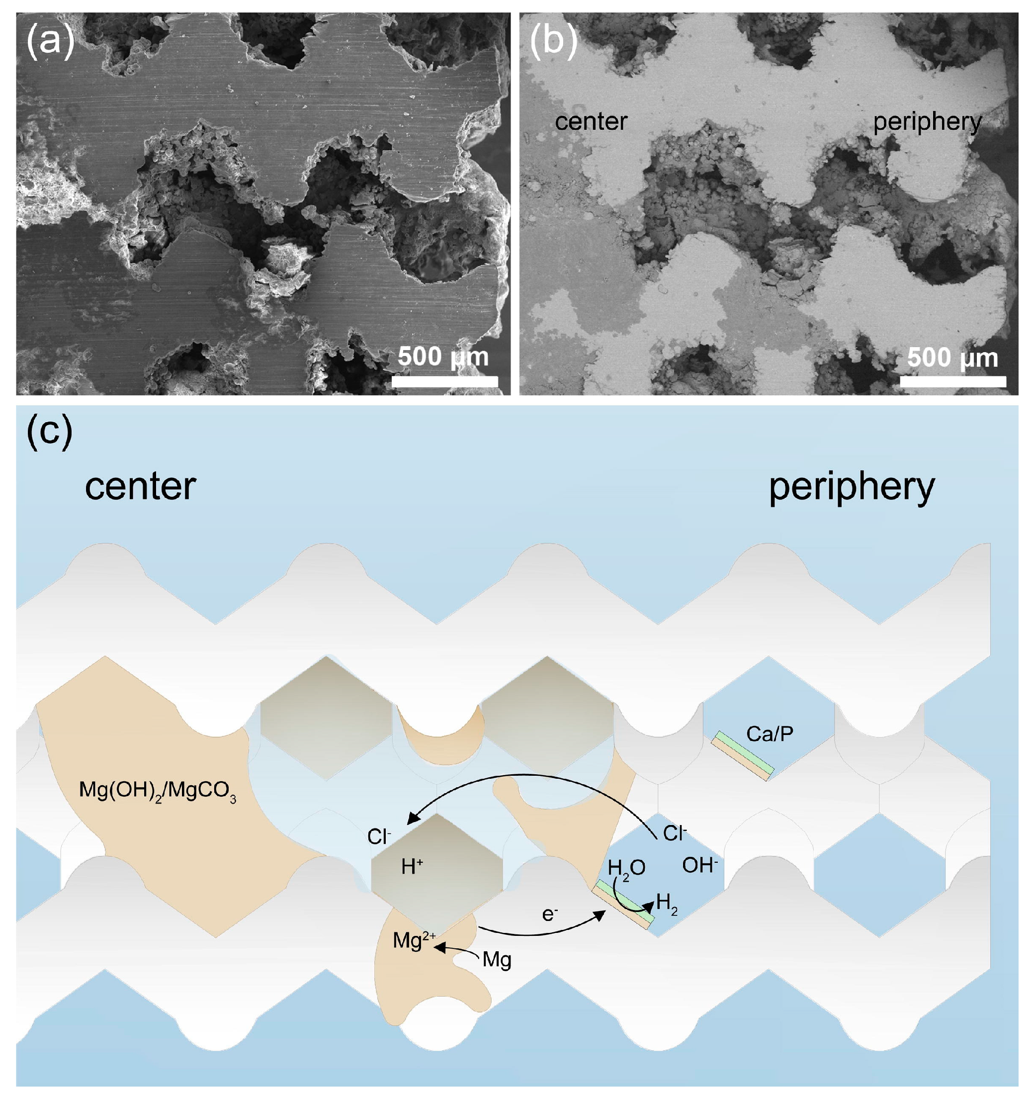 Metals 14 00096 g012