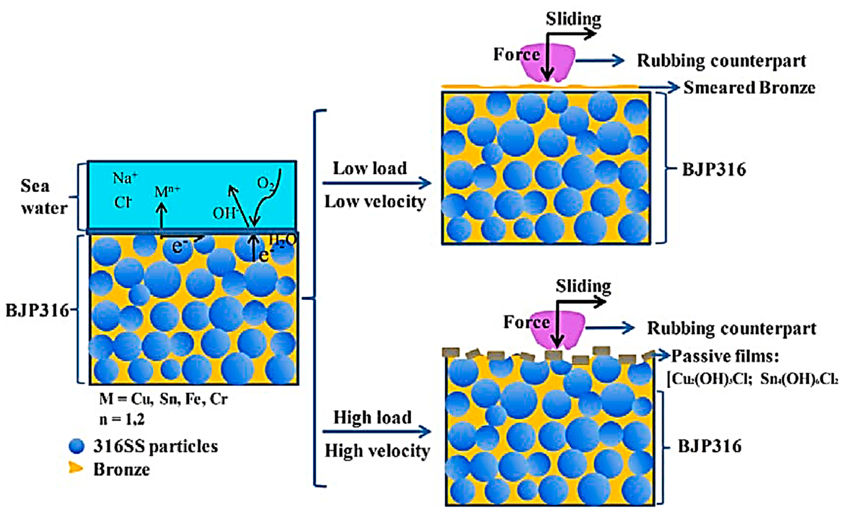 Metals 14 00096 g014