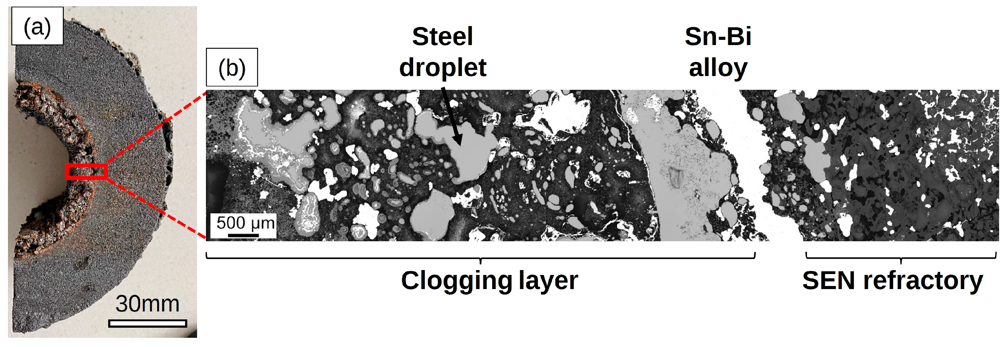 Metals 14 00103 g003