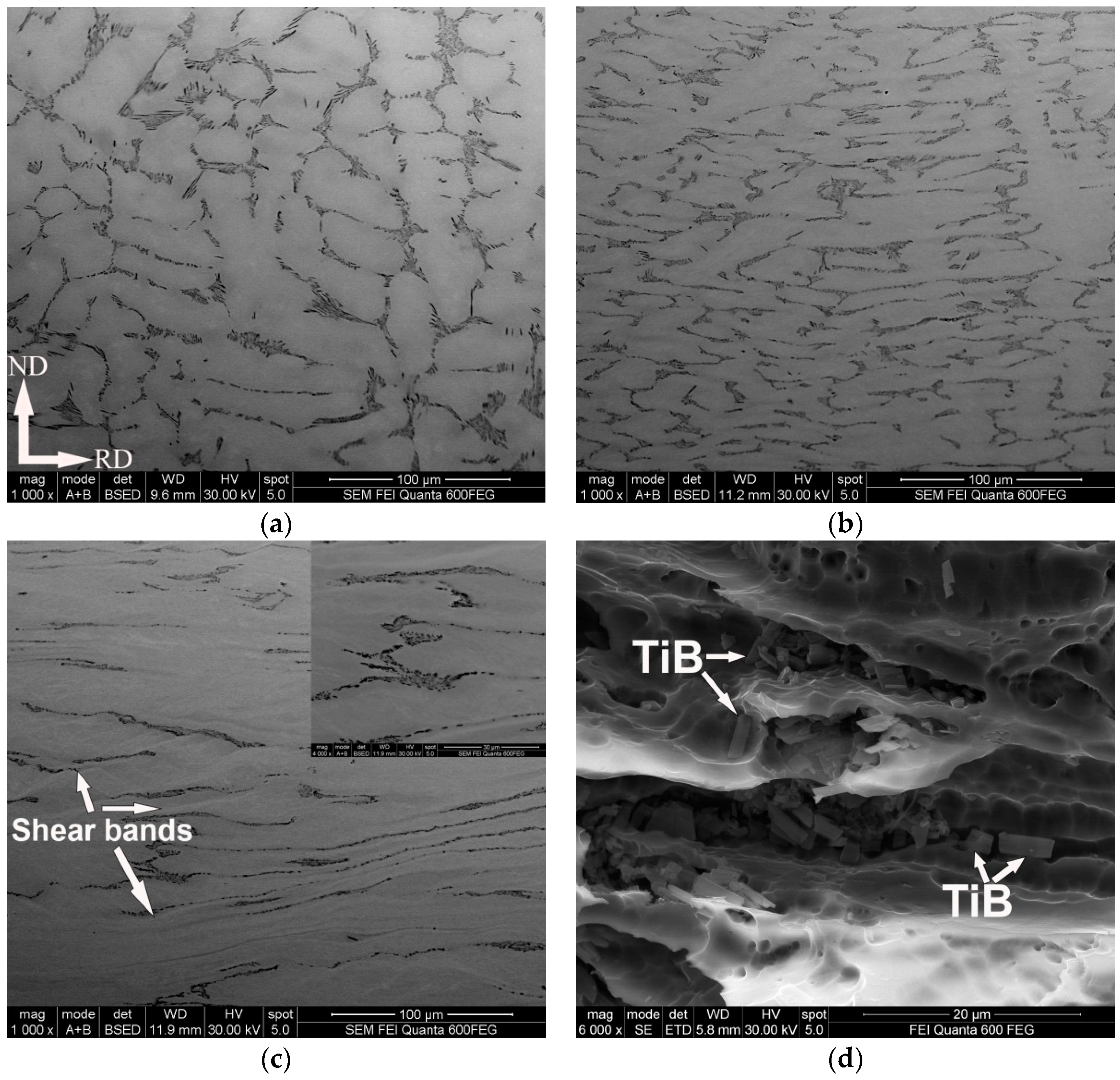 Metals 14 00104 g004